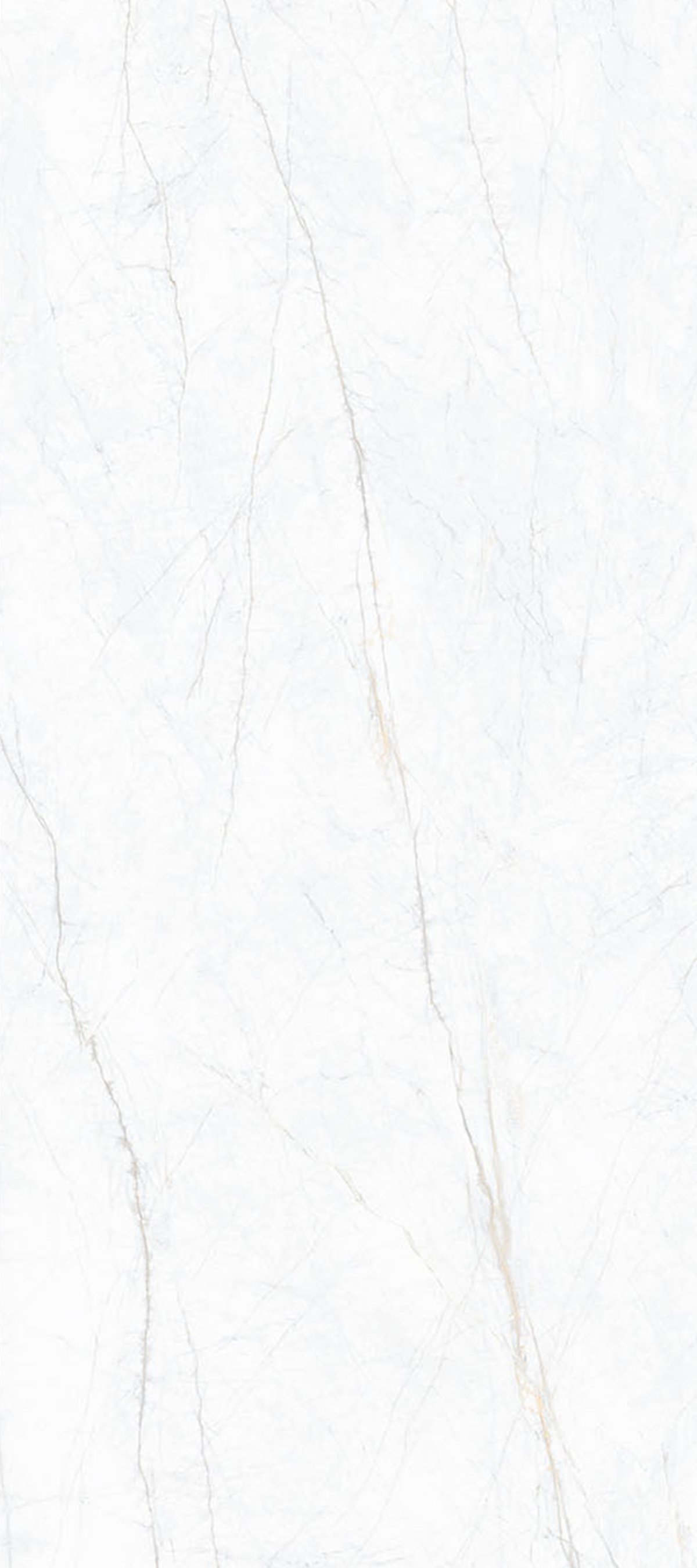 Statuario Pearl 4' x 9' Porcelain Slab | CIERO