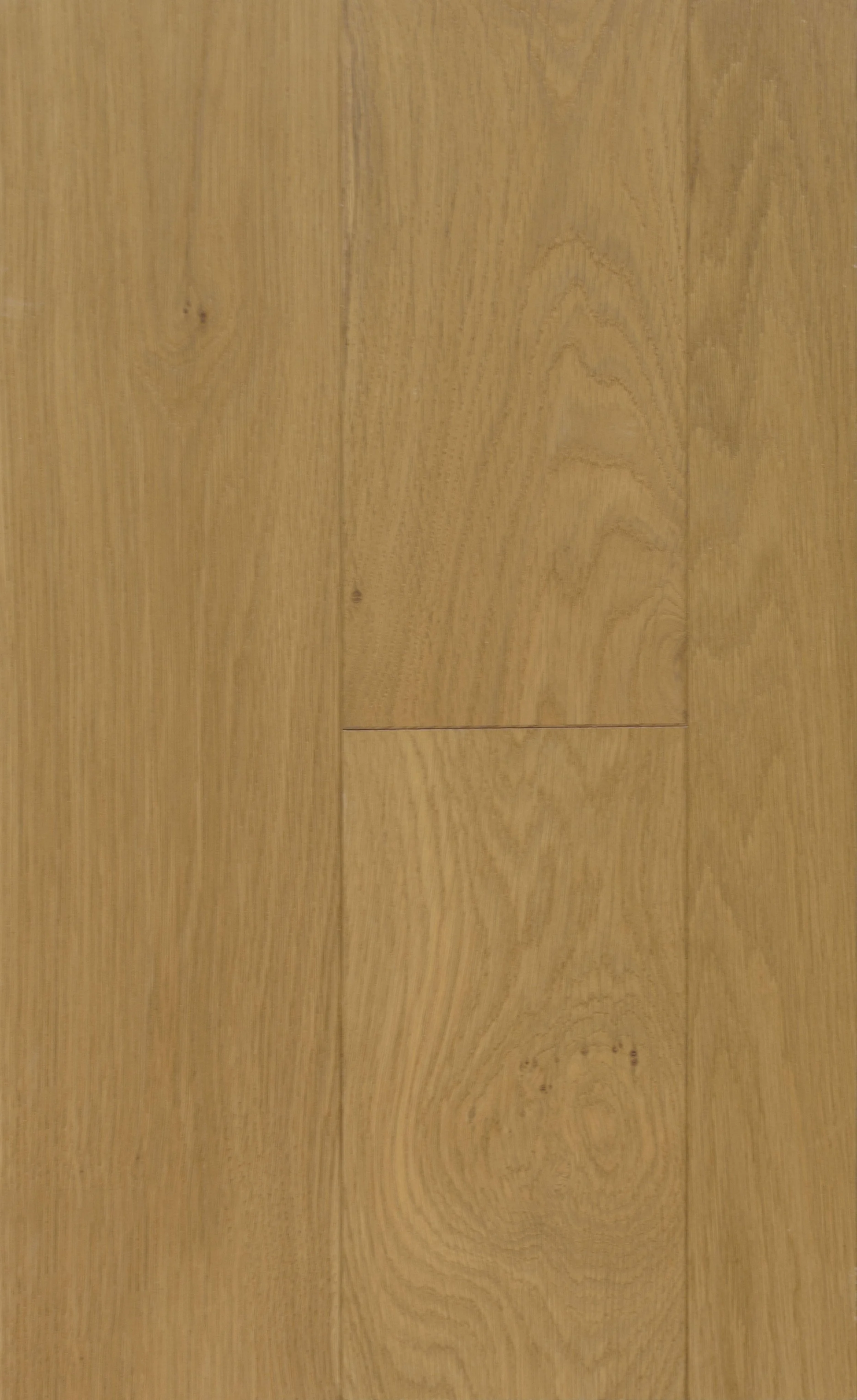 Marshland Taupe Engineered Hardwood | CIERO x FUZION