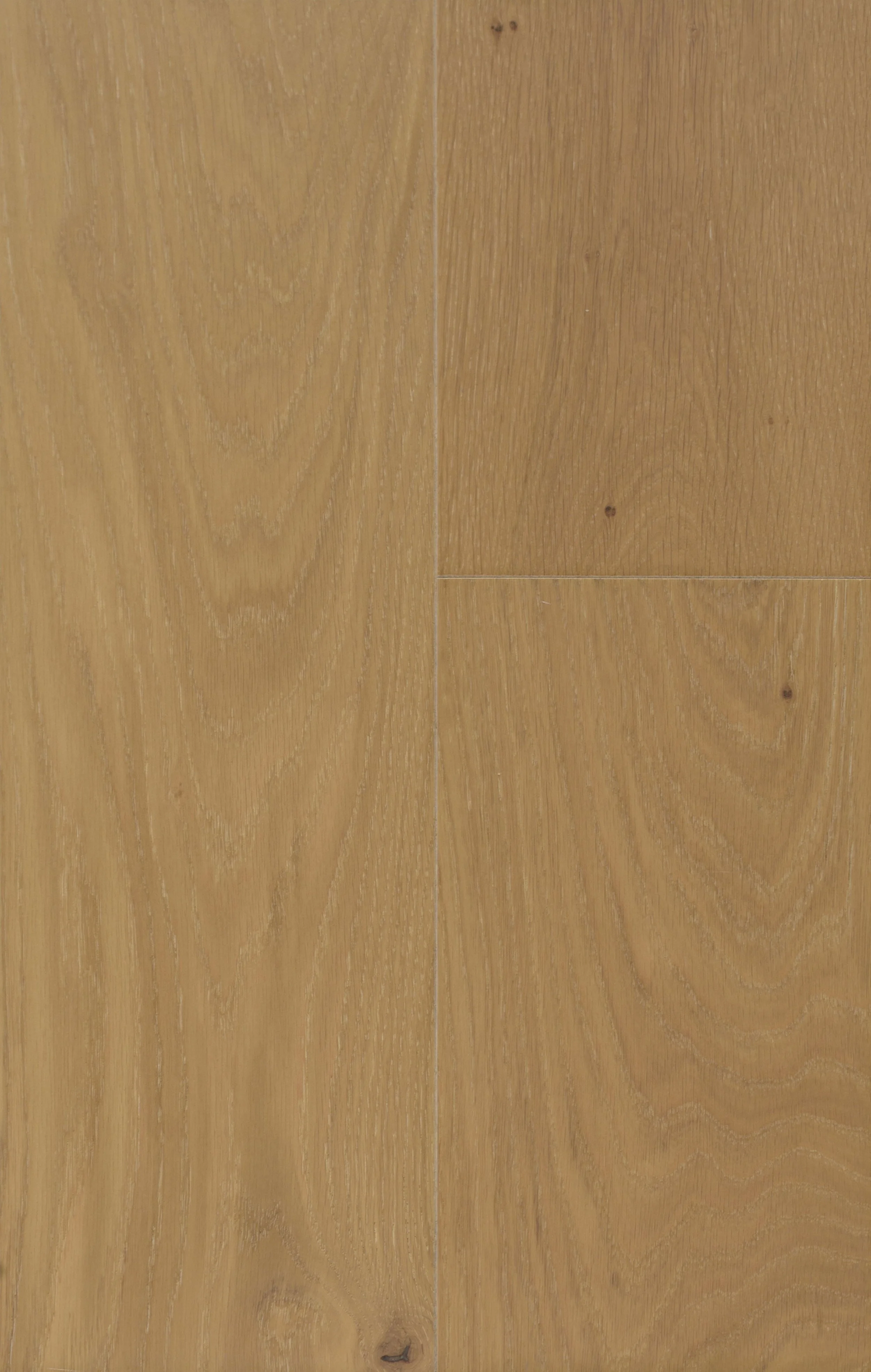 Courtly Cream Engineered Hardwood | FUZION