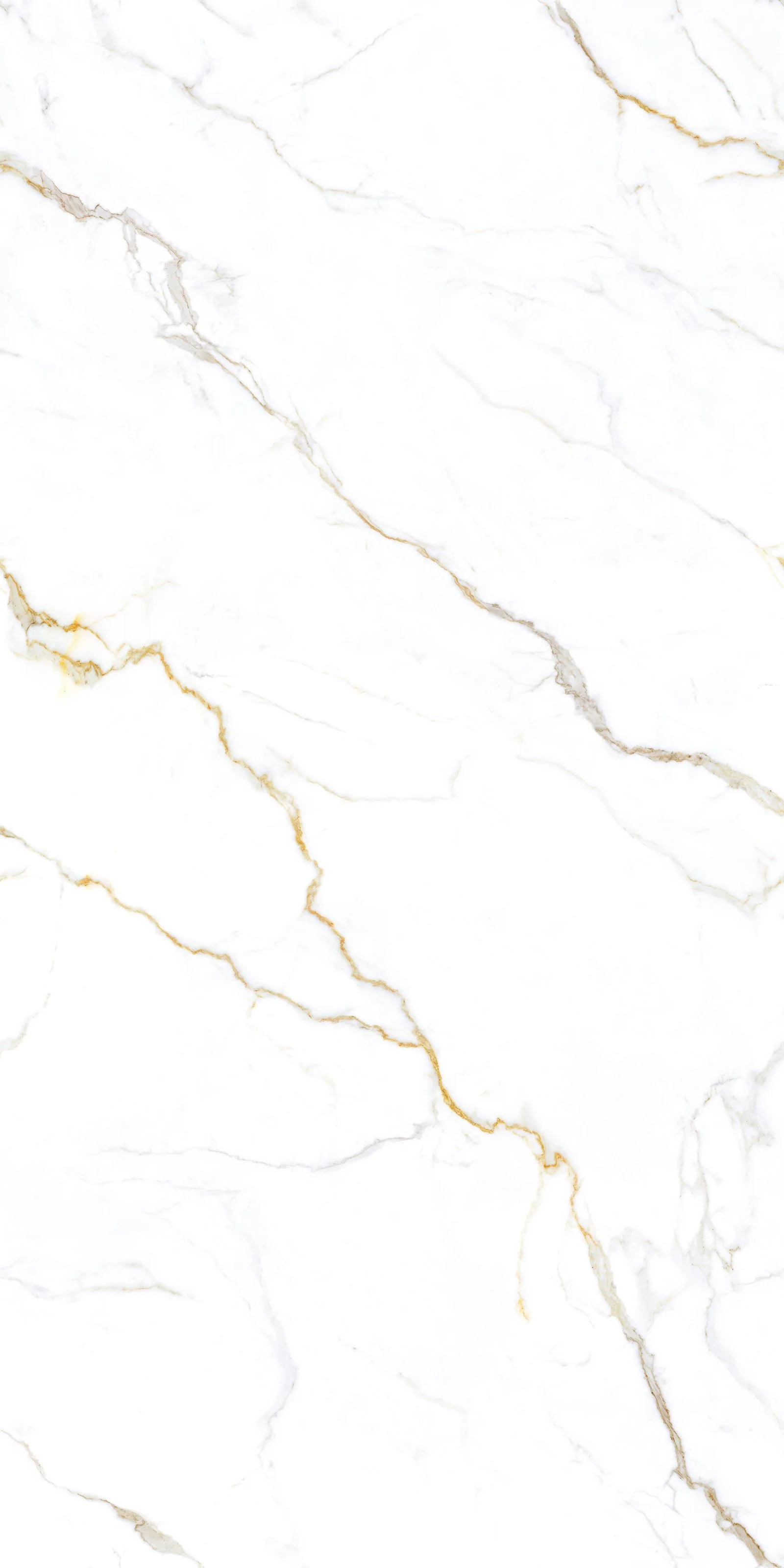 Calacatta Polido 5' x 10' Porcelain Slab | CIERO