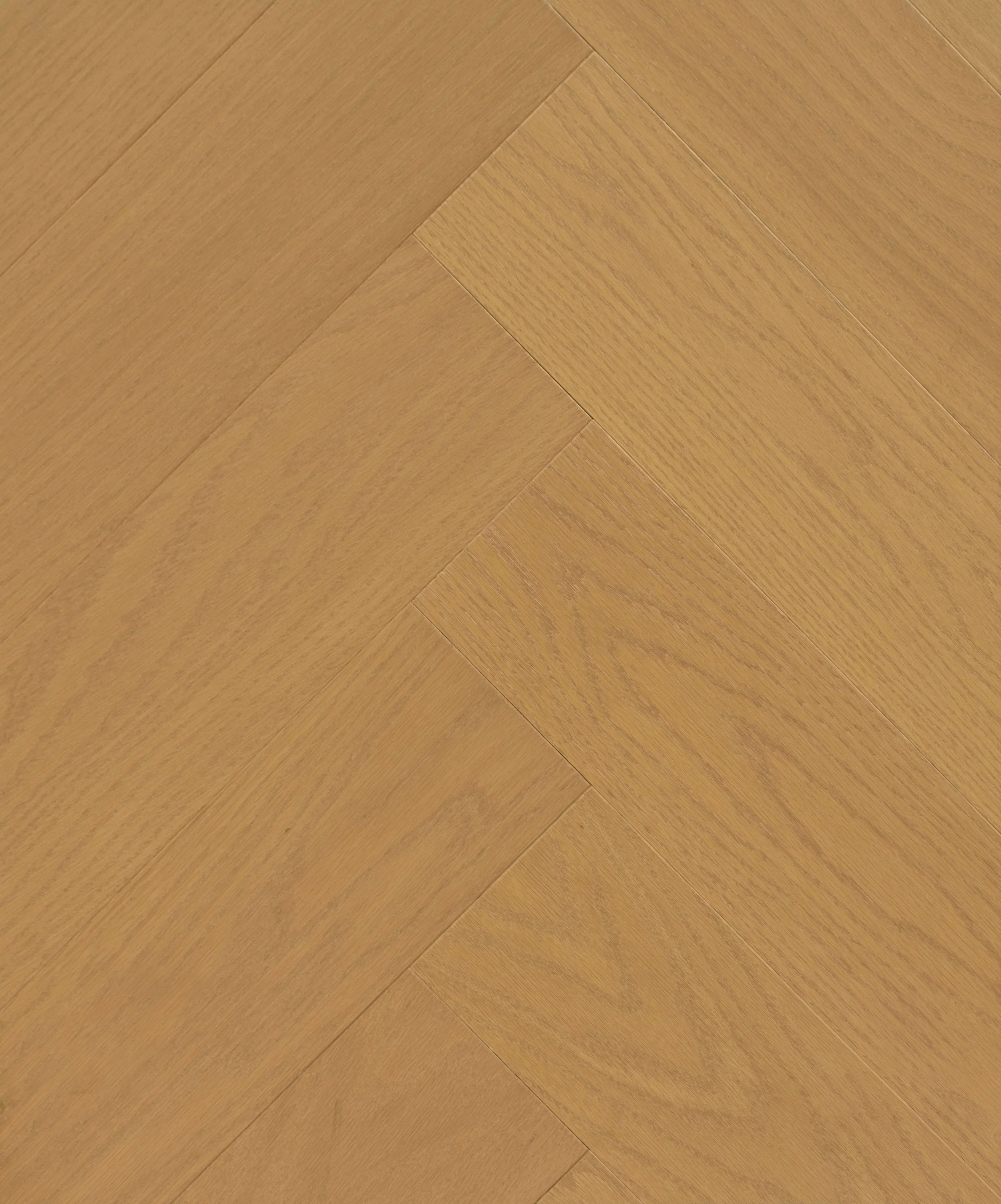 Traquil Engineered Hardwood | CIERO x CANADIAN STANDARD