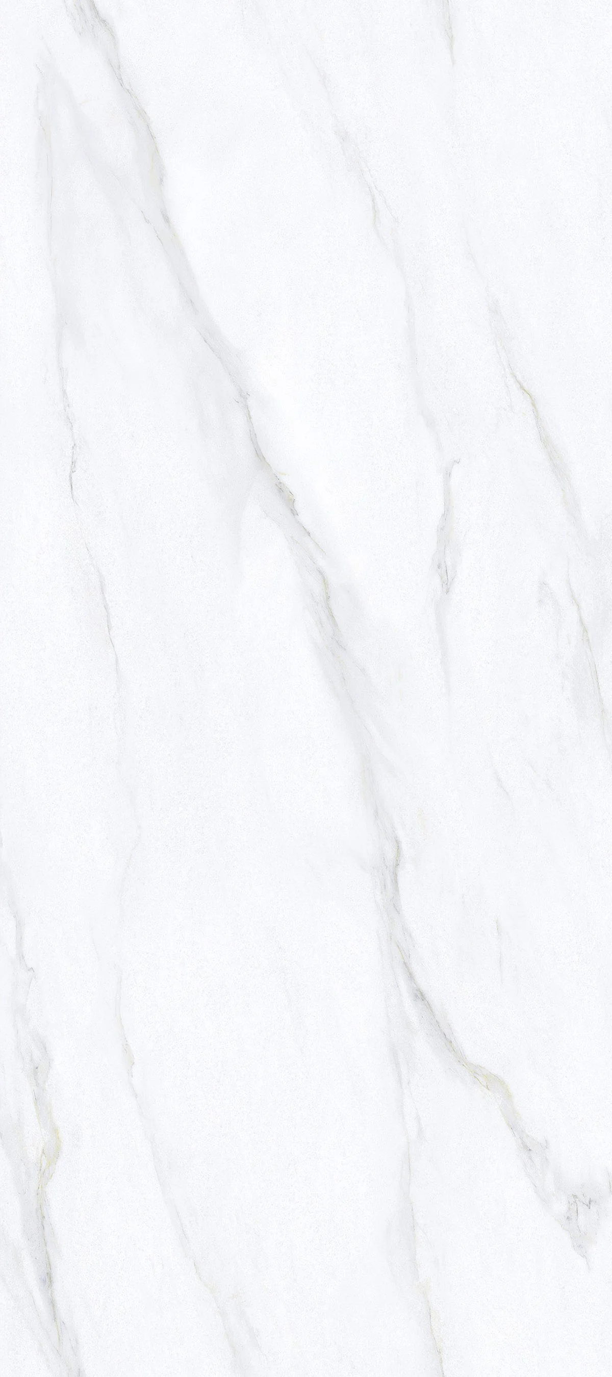 Calacatta Nuvola 4' x 9' Porcelain Slab | CIERO