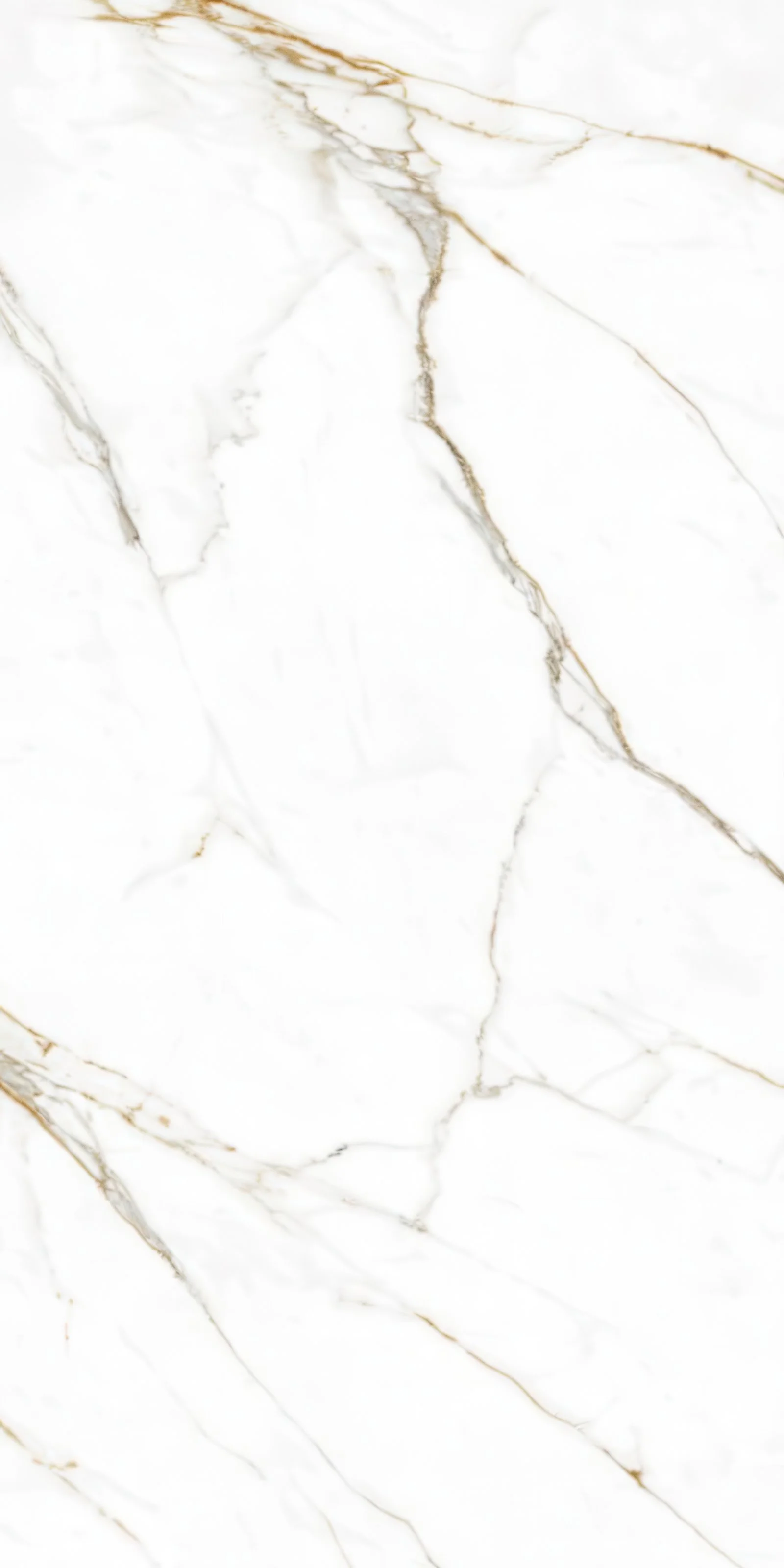 Carrara Gold 5' x 10' Porcelain Slab | CIERO
