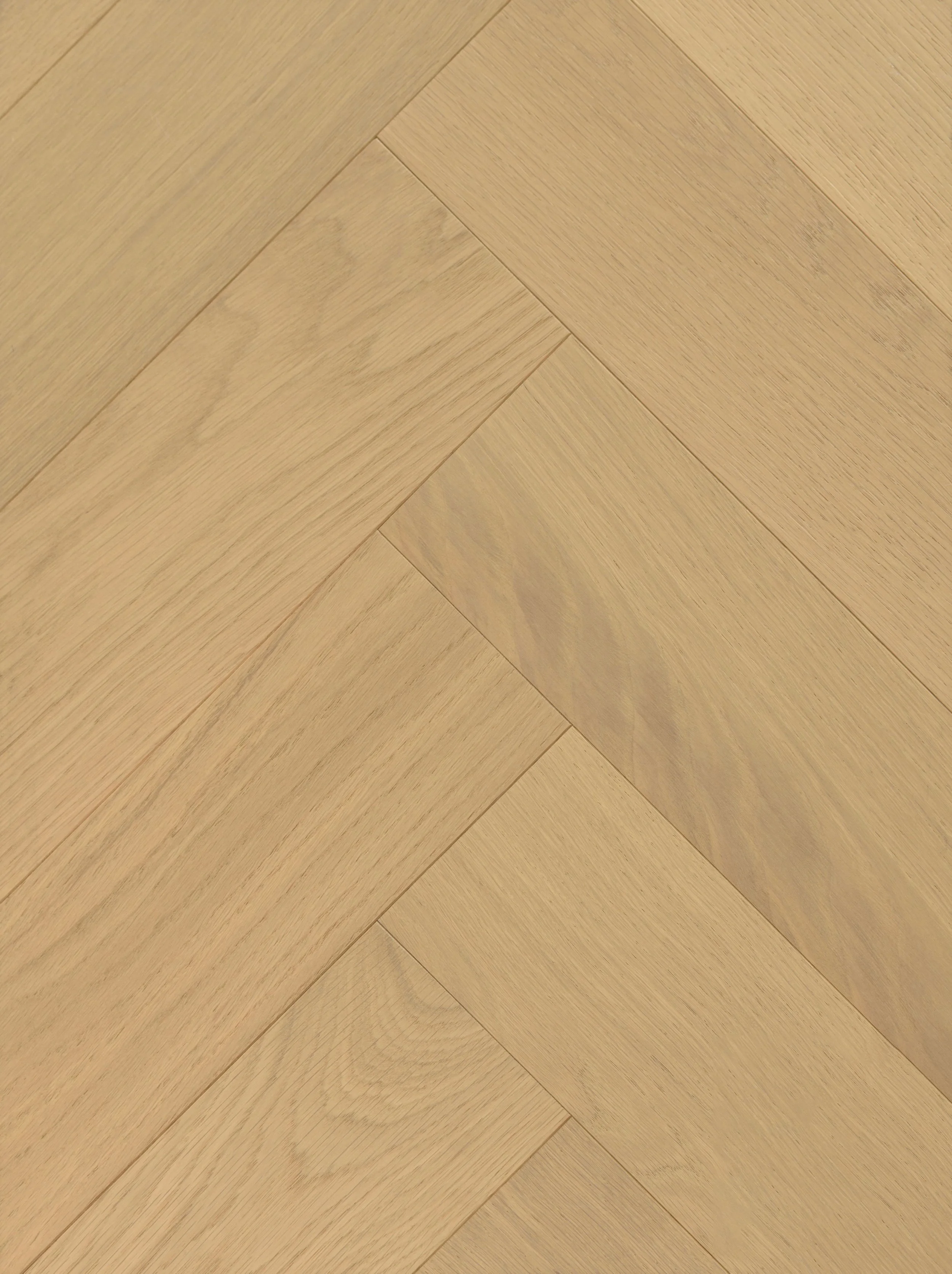 Biscotti Engineered Hardwood | CIERO x VIDAR