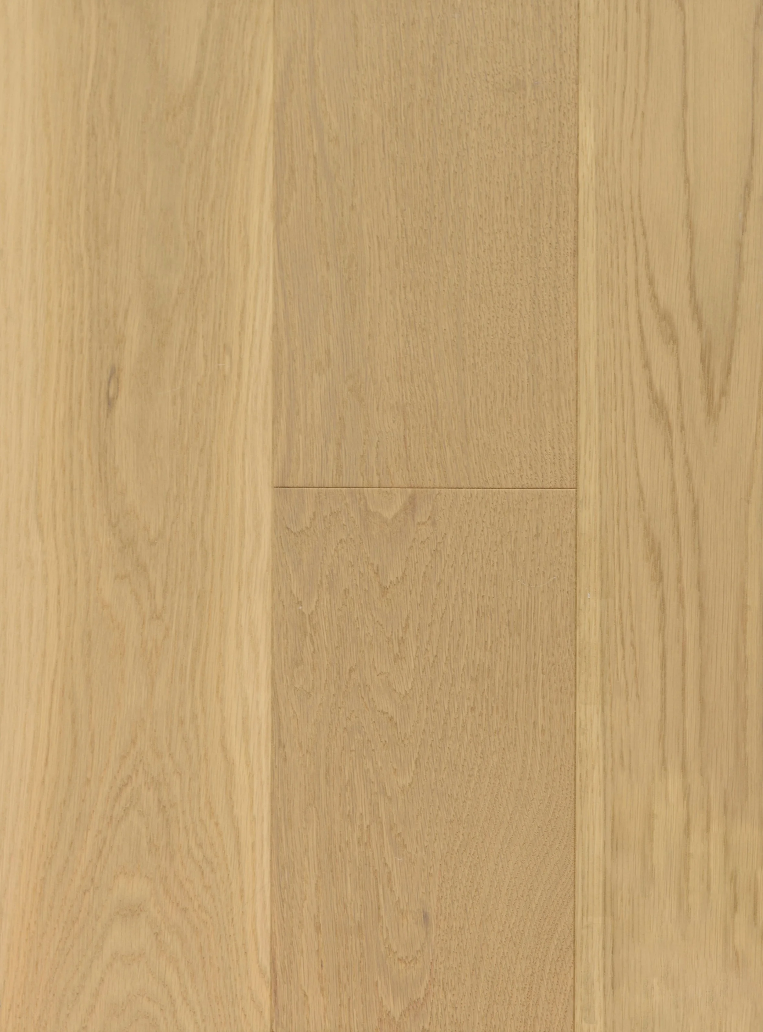 Biscotti Engineered Hardwood | CIERO x VIDAR