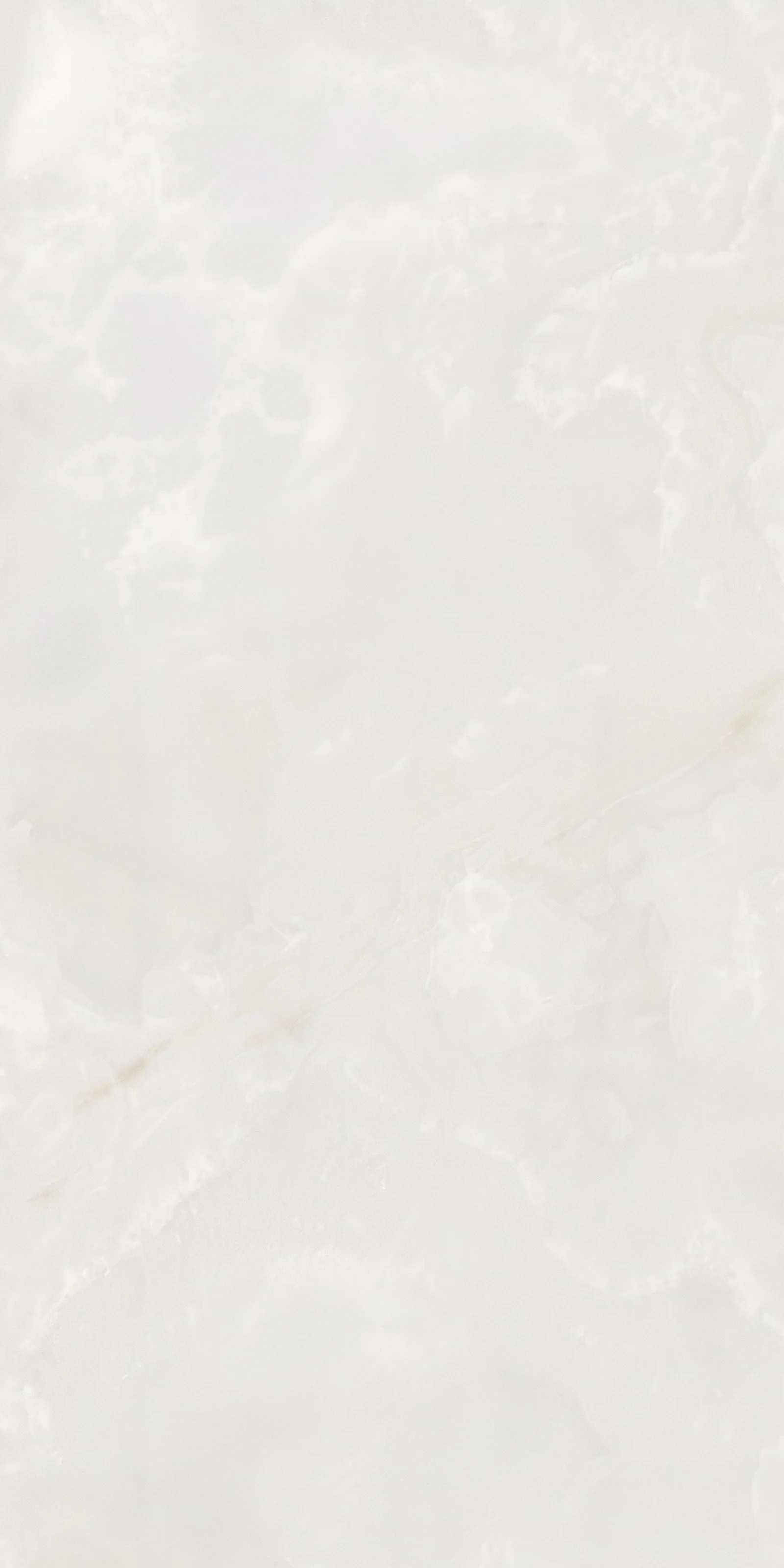 Onyx White 4' x 8' Porcelain Slab | CIERO