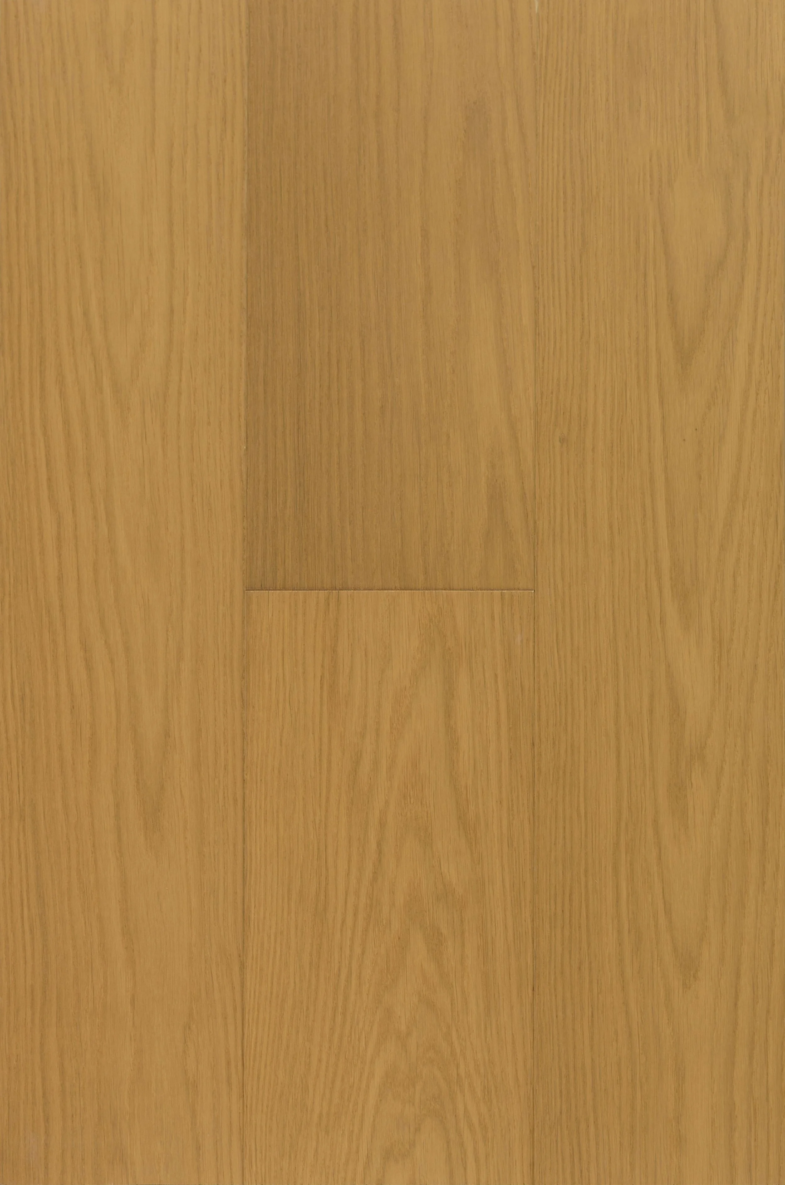Lorette Engineered Hardwood | CIERO x PURELUX