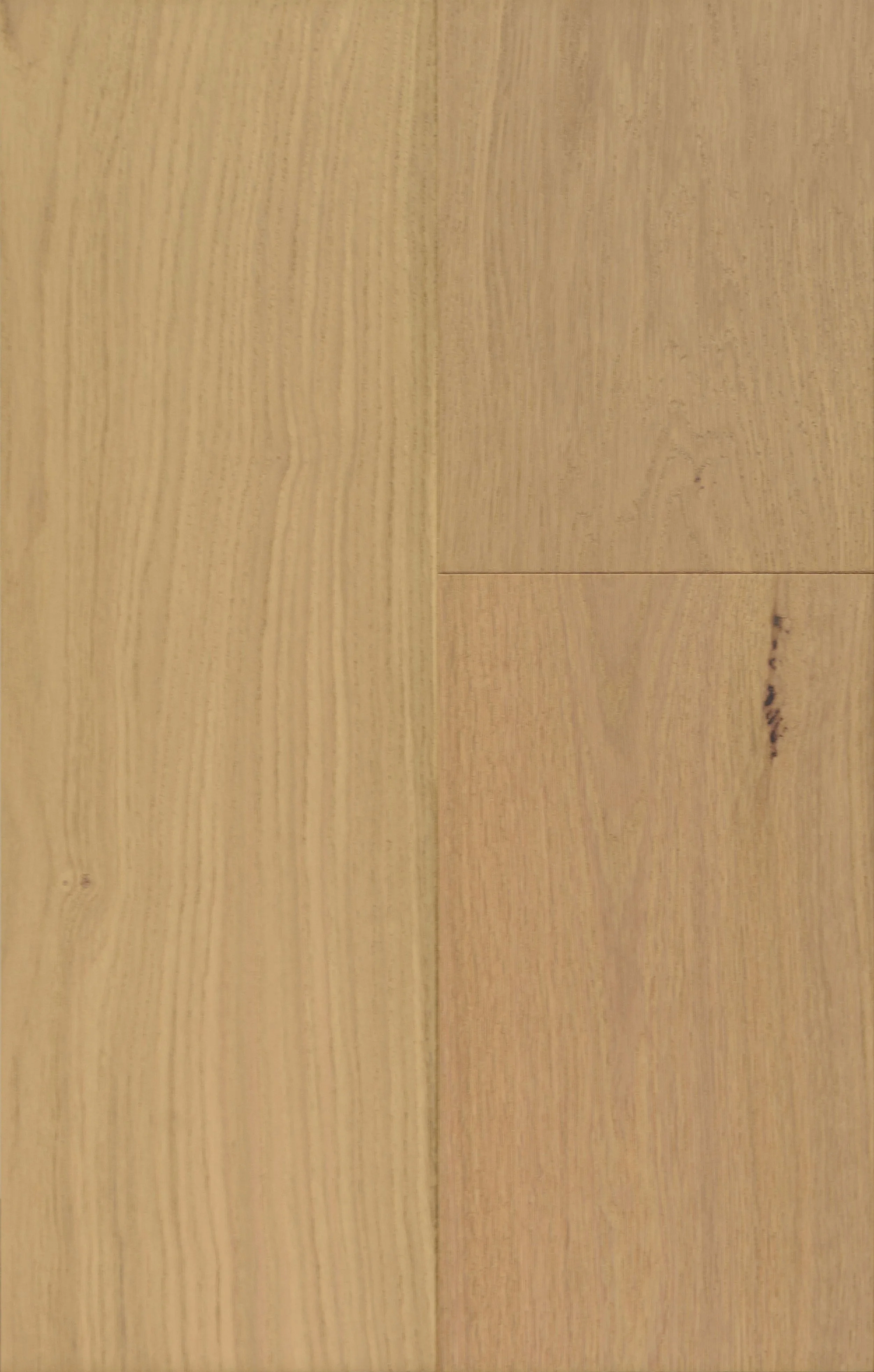 Regent Rustic Engineered Hardwood | CIERO x FUZION