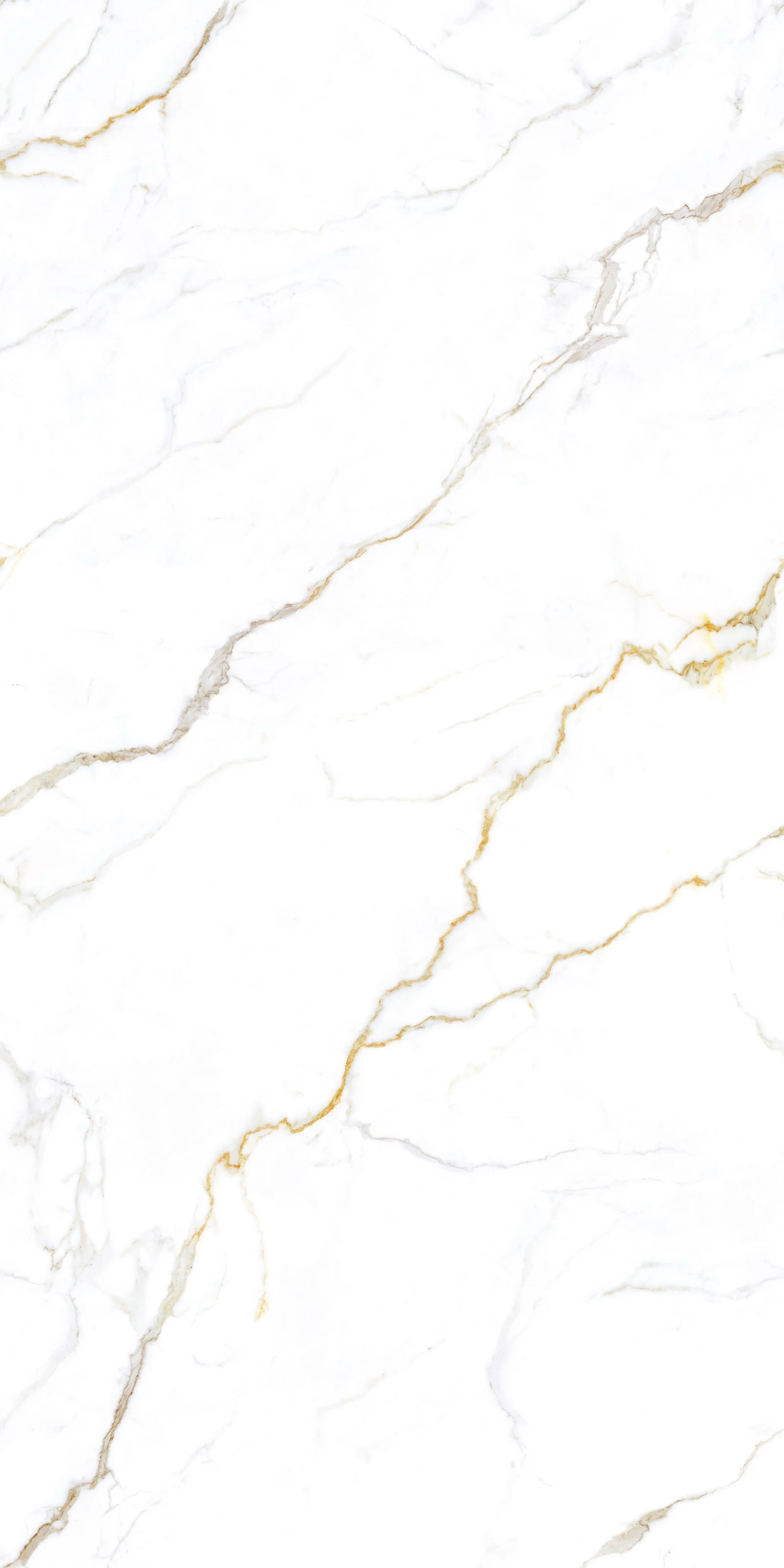 Calacatta Polido 5' x 10' Porcelain Slab | CIERO
