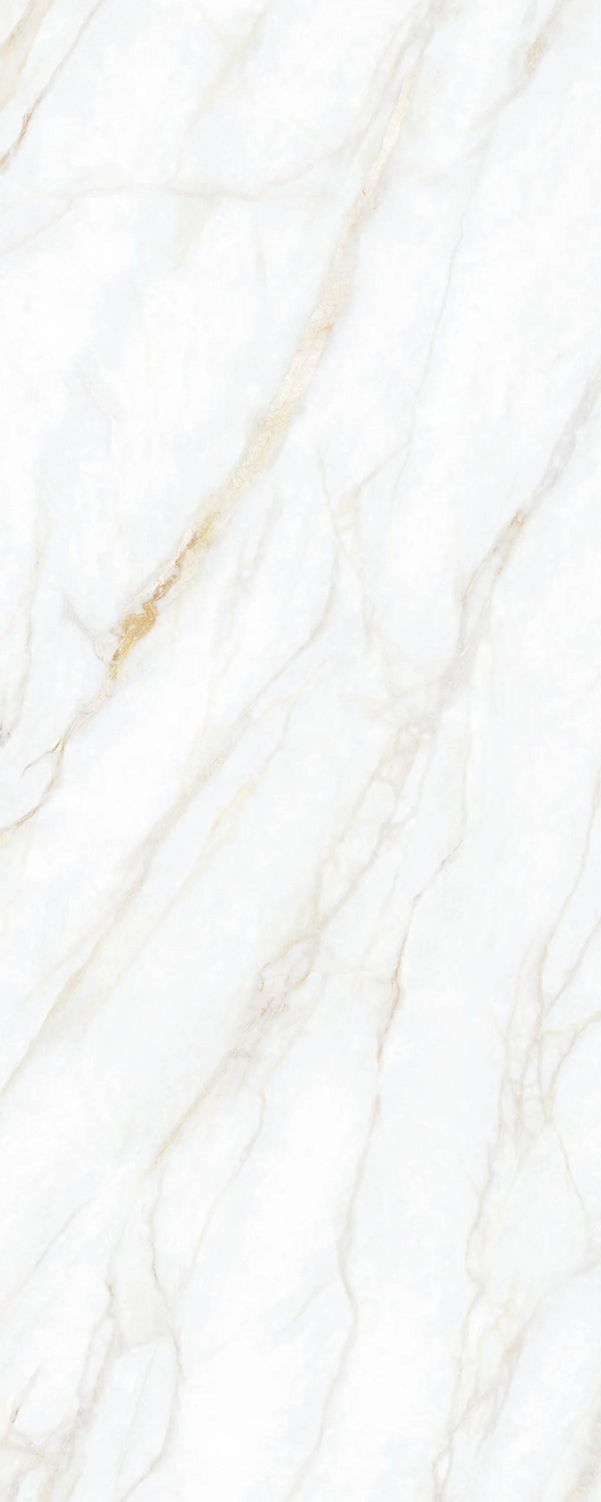 Prestige 4' x 10' Porcelain Slab | CIERO
