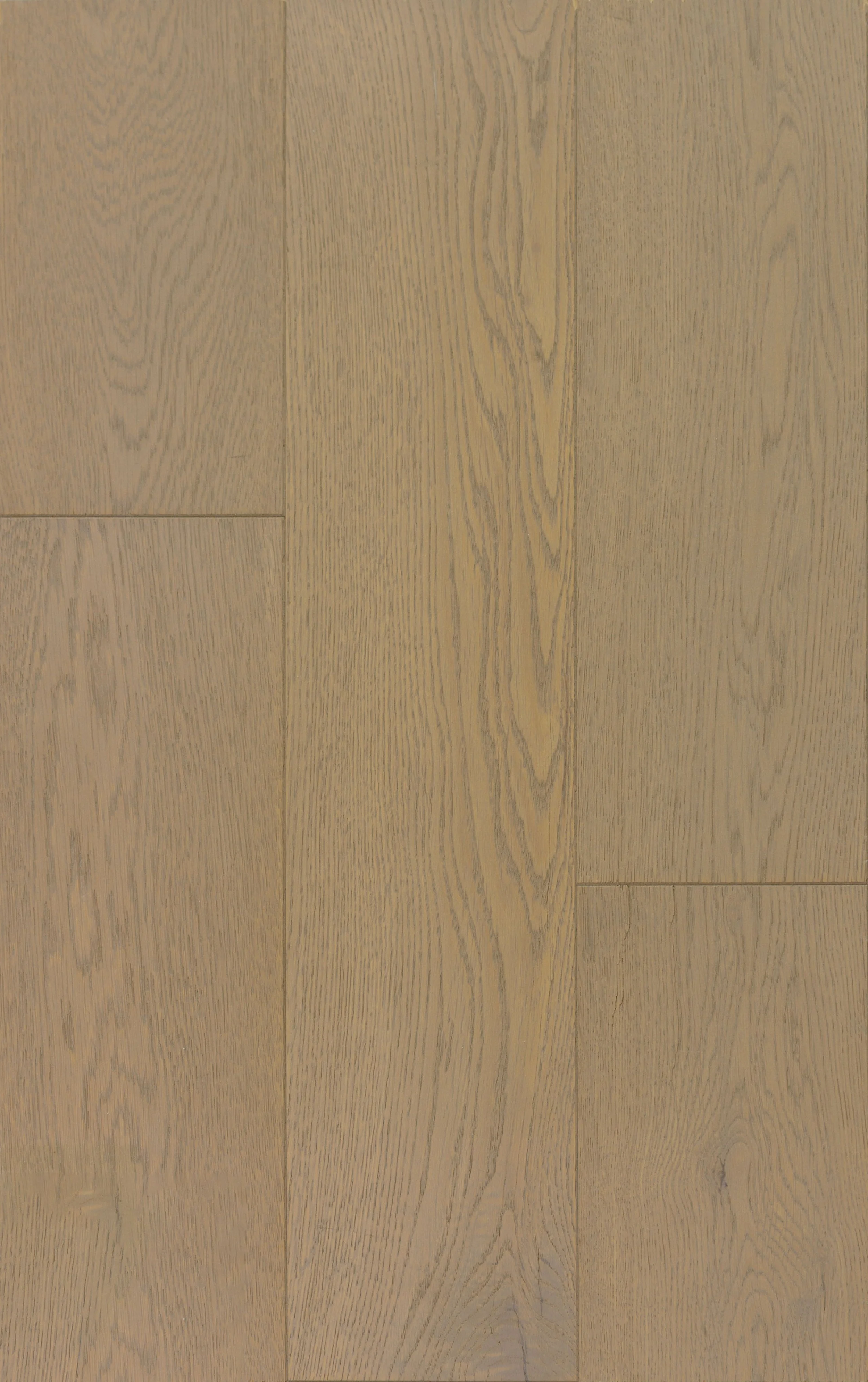 Frappe Engineered Hardwood | CIERO x FUZION