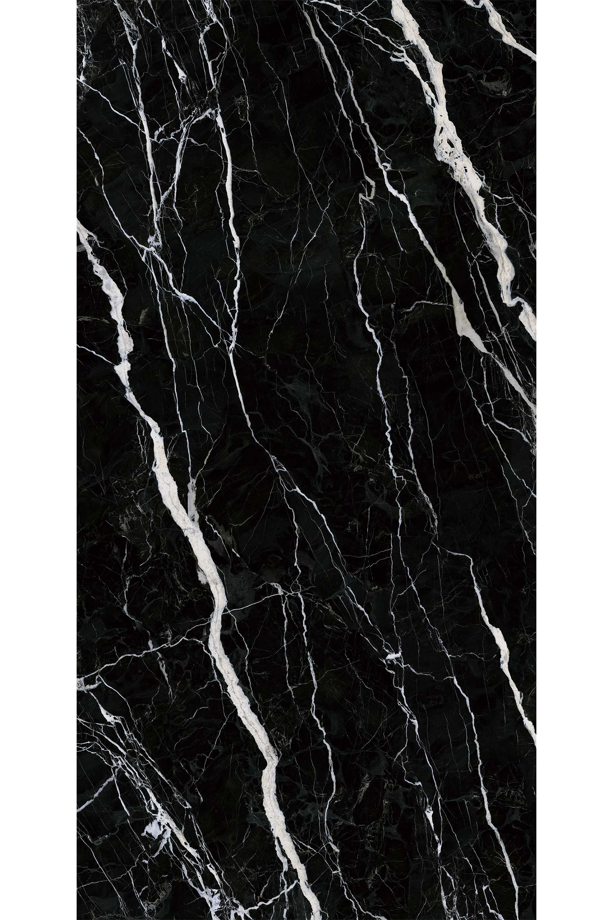 Starry Seine - A - WEB.png