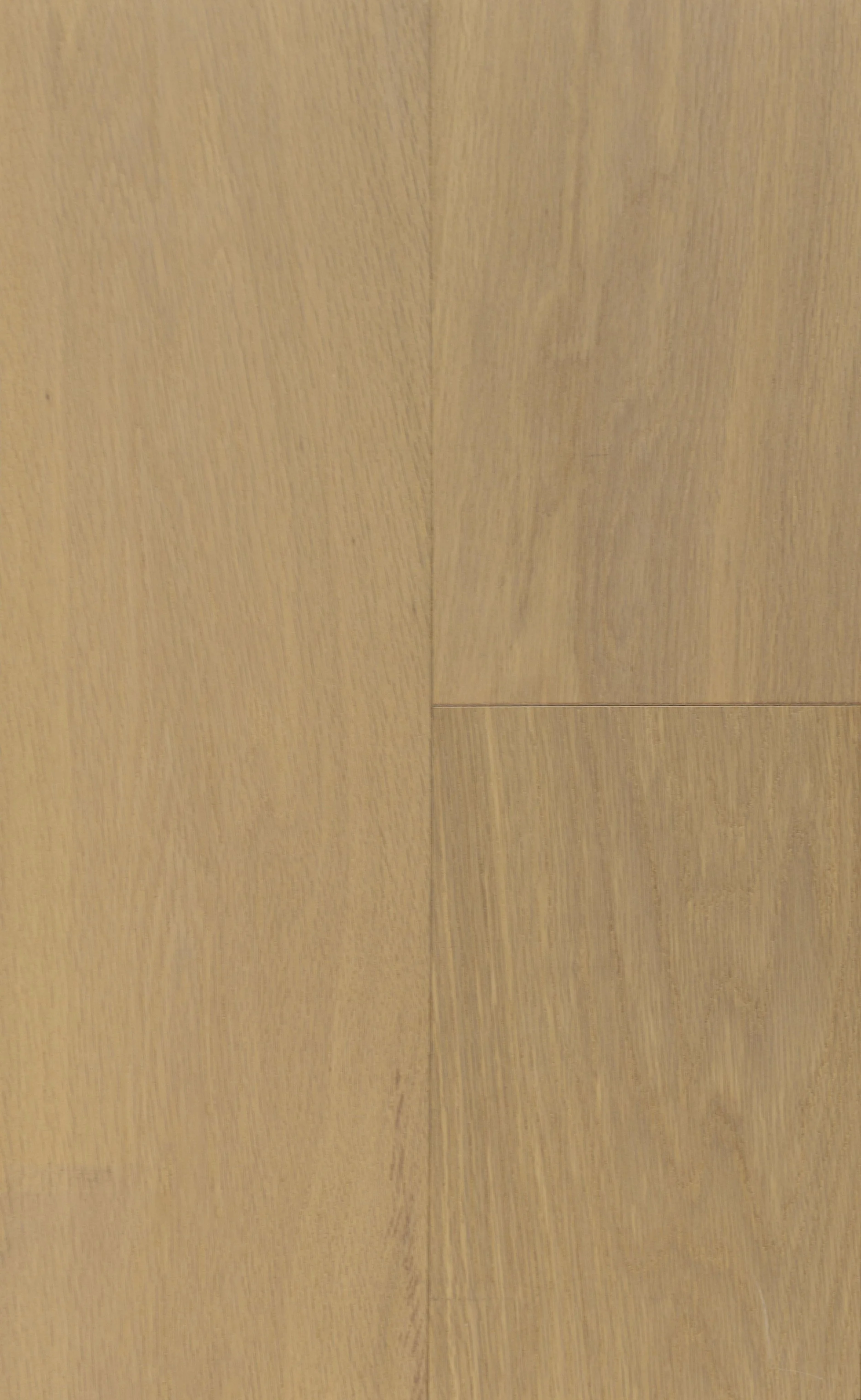 Moderna Engineered Hardwood | CIERO x FUZION