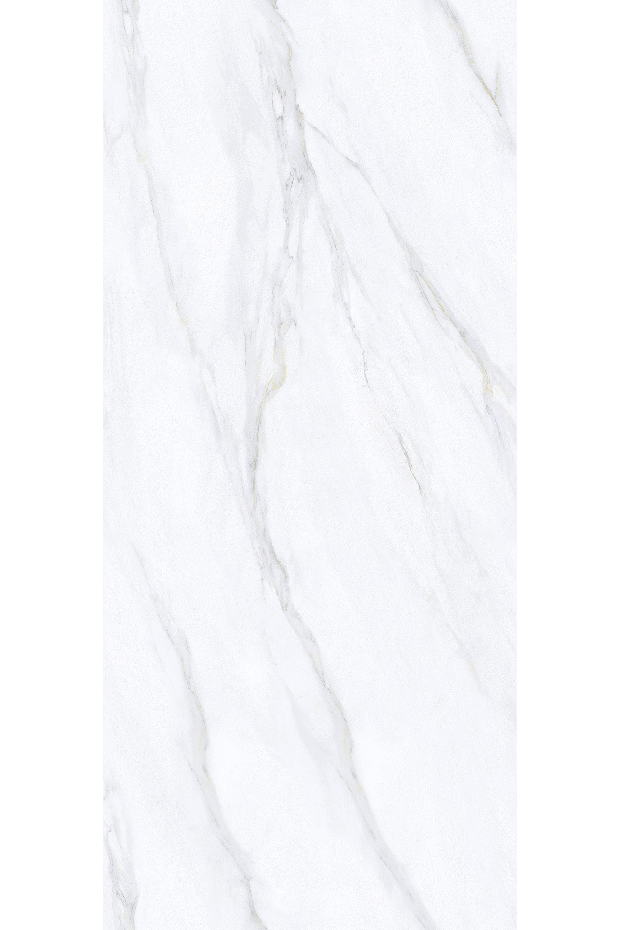 Calacatta Nuvola - 3 (WEB).png
