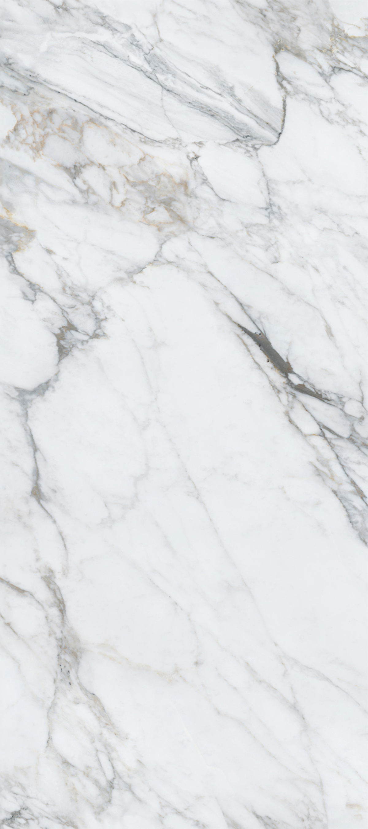 Calacatta Royal 4' x 9' Porcelain Slab | CIERO