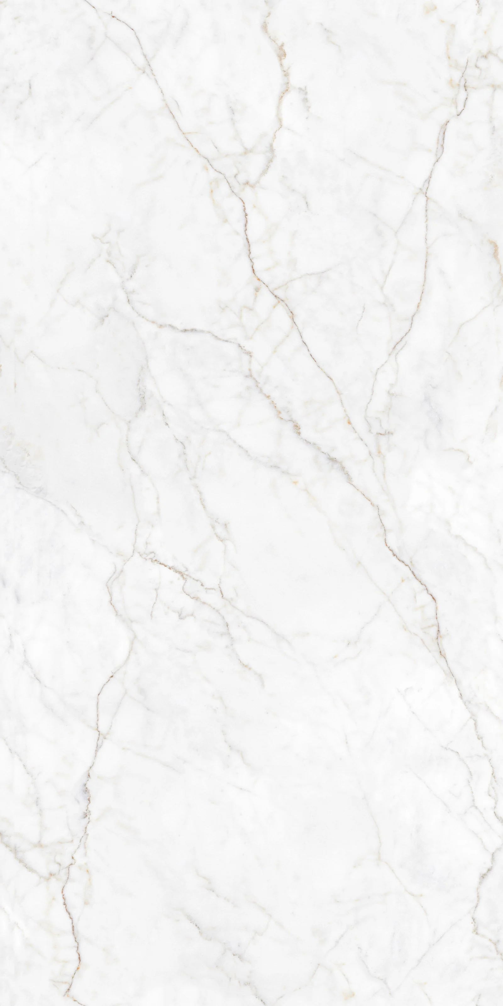 Zeus White 5' x 10' Porcelain Slab | CIERO