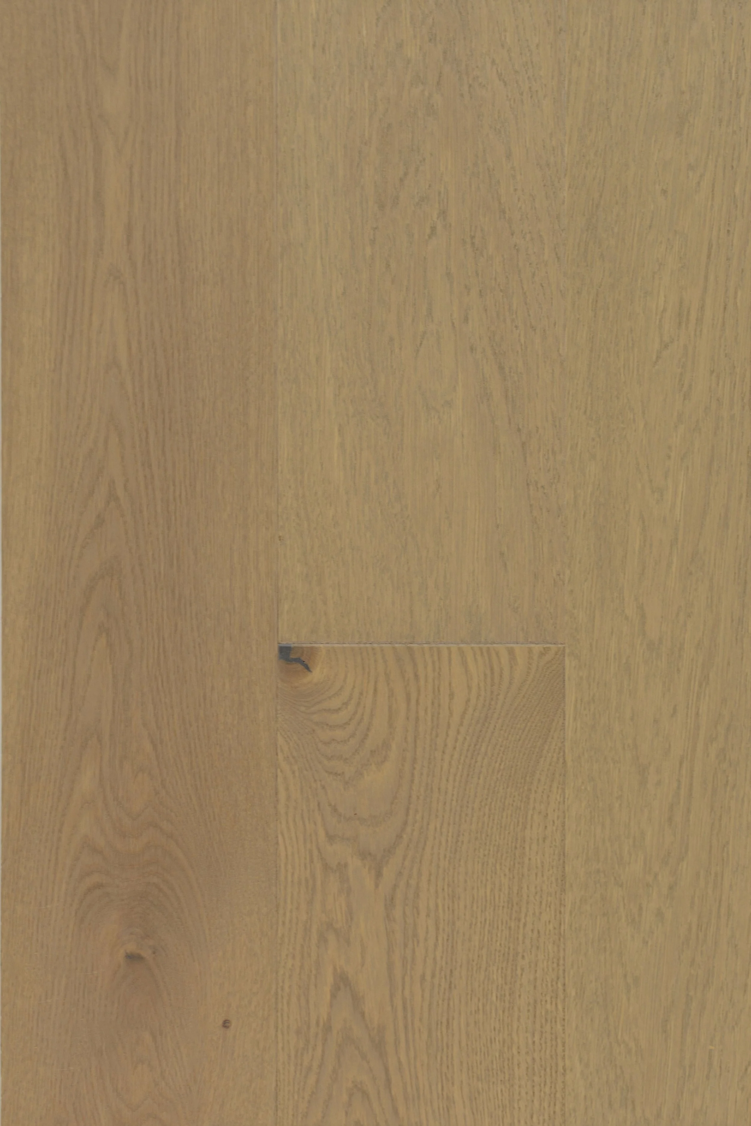Cool Sage Engineered Hardwood | CIERO x FUZION
