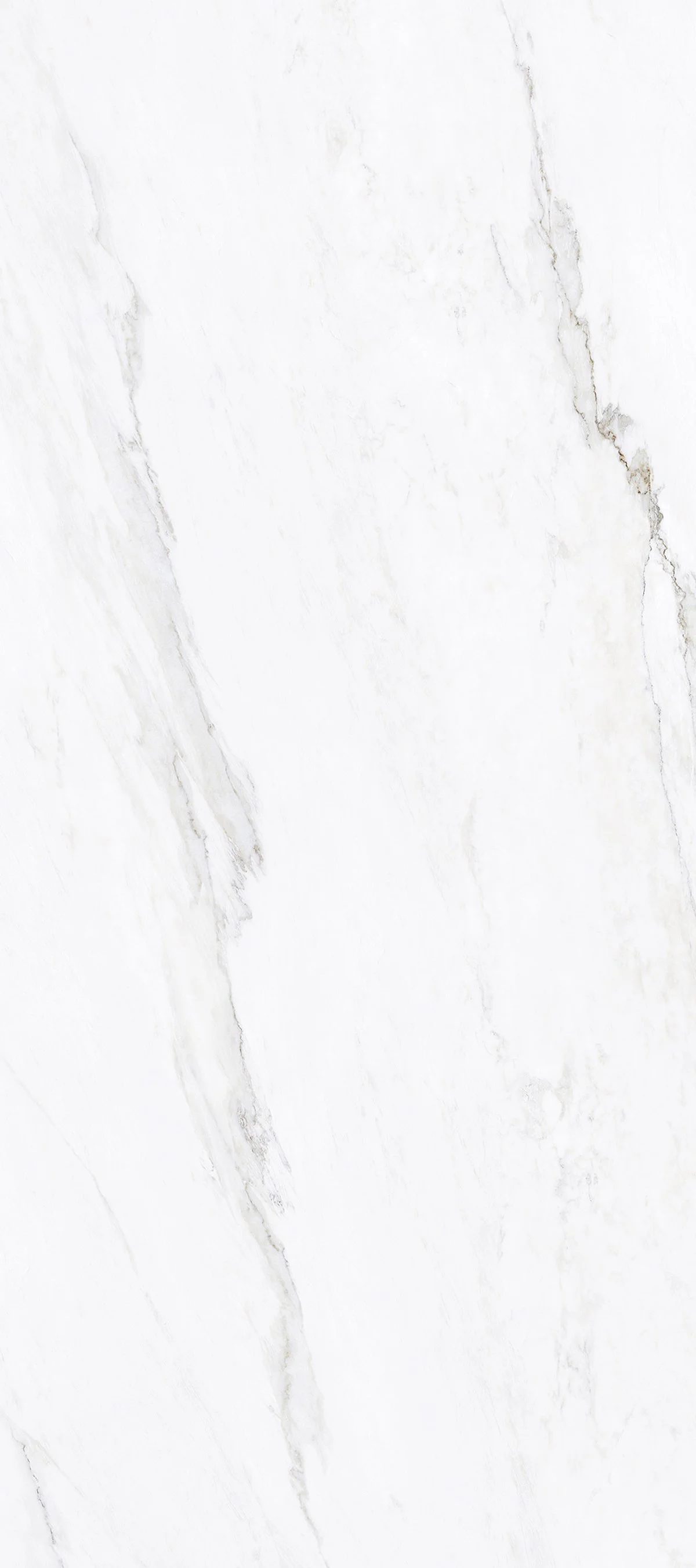 Calacatta Carina 4' x 9' Porcelain Slab | CIERO