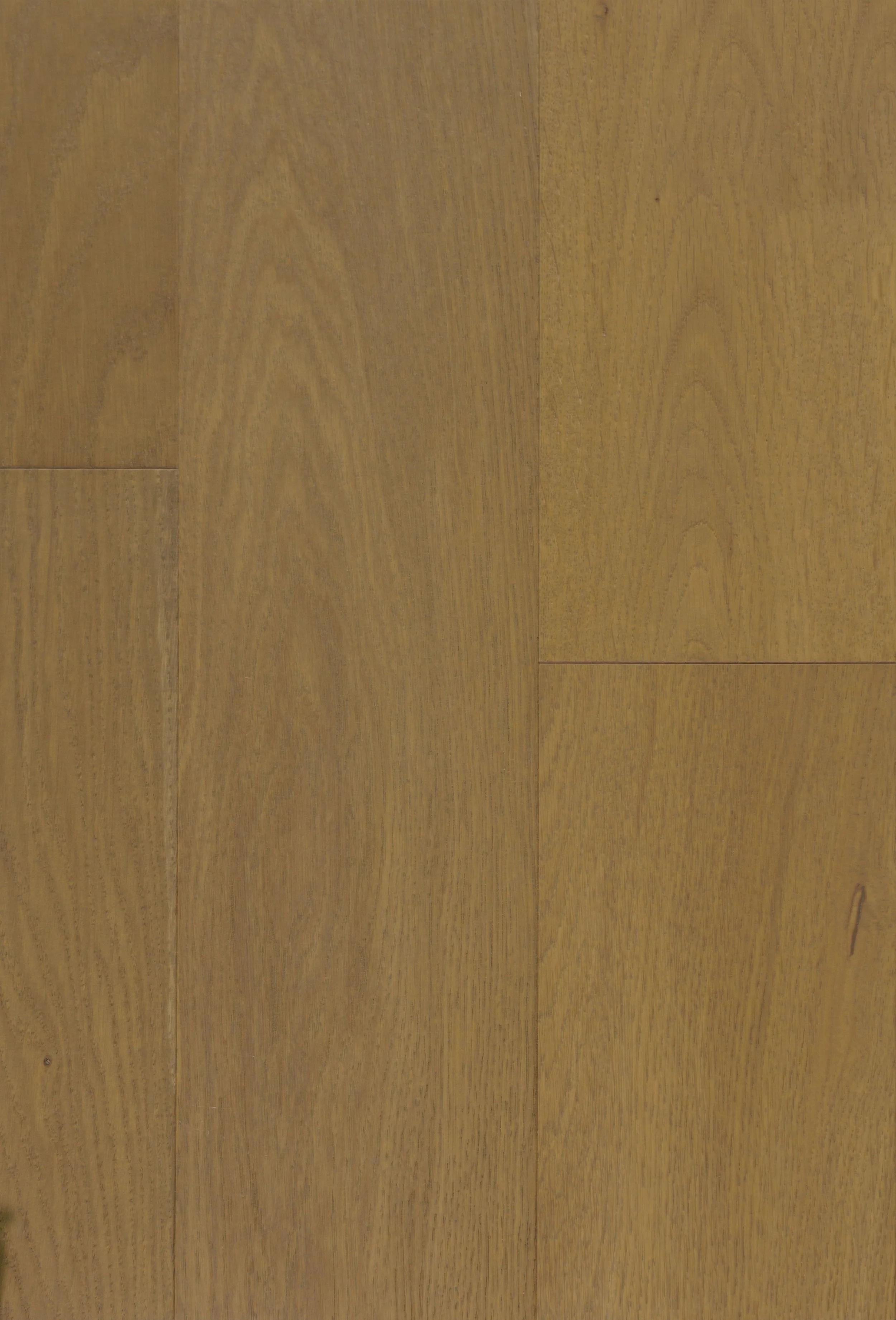 Mountaineer Engineered Hardwood | CIERO x FUZION
