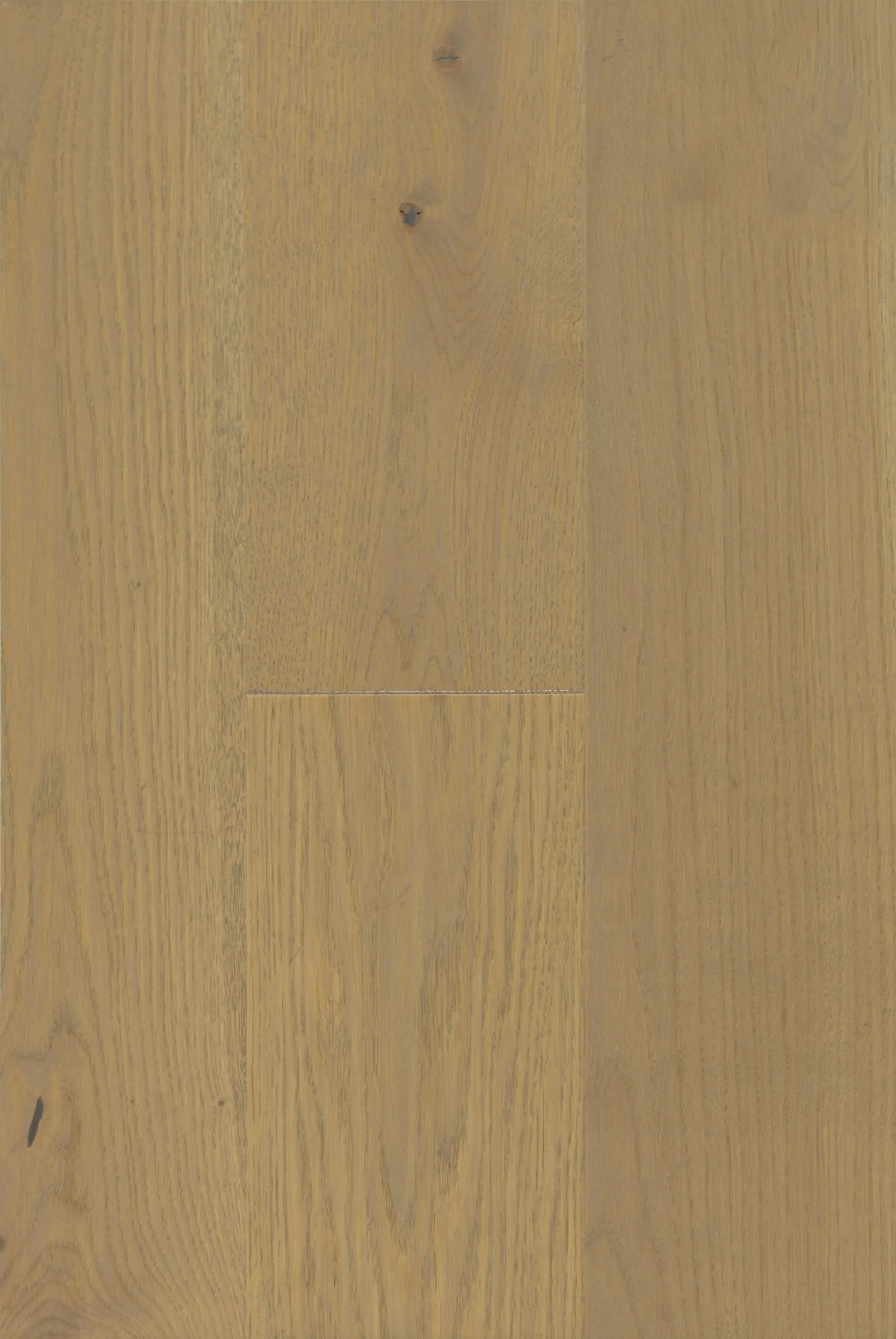 Cool Sage Engineered Hardwood | CIERO x FUZION
