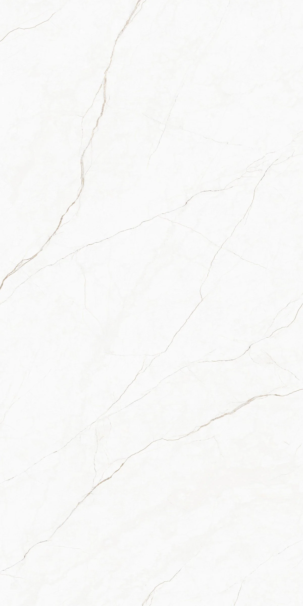 Hurricaine Beige 4' x 8' Porcelain Slab | CIERO