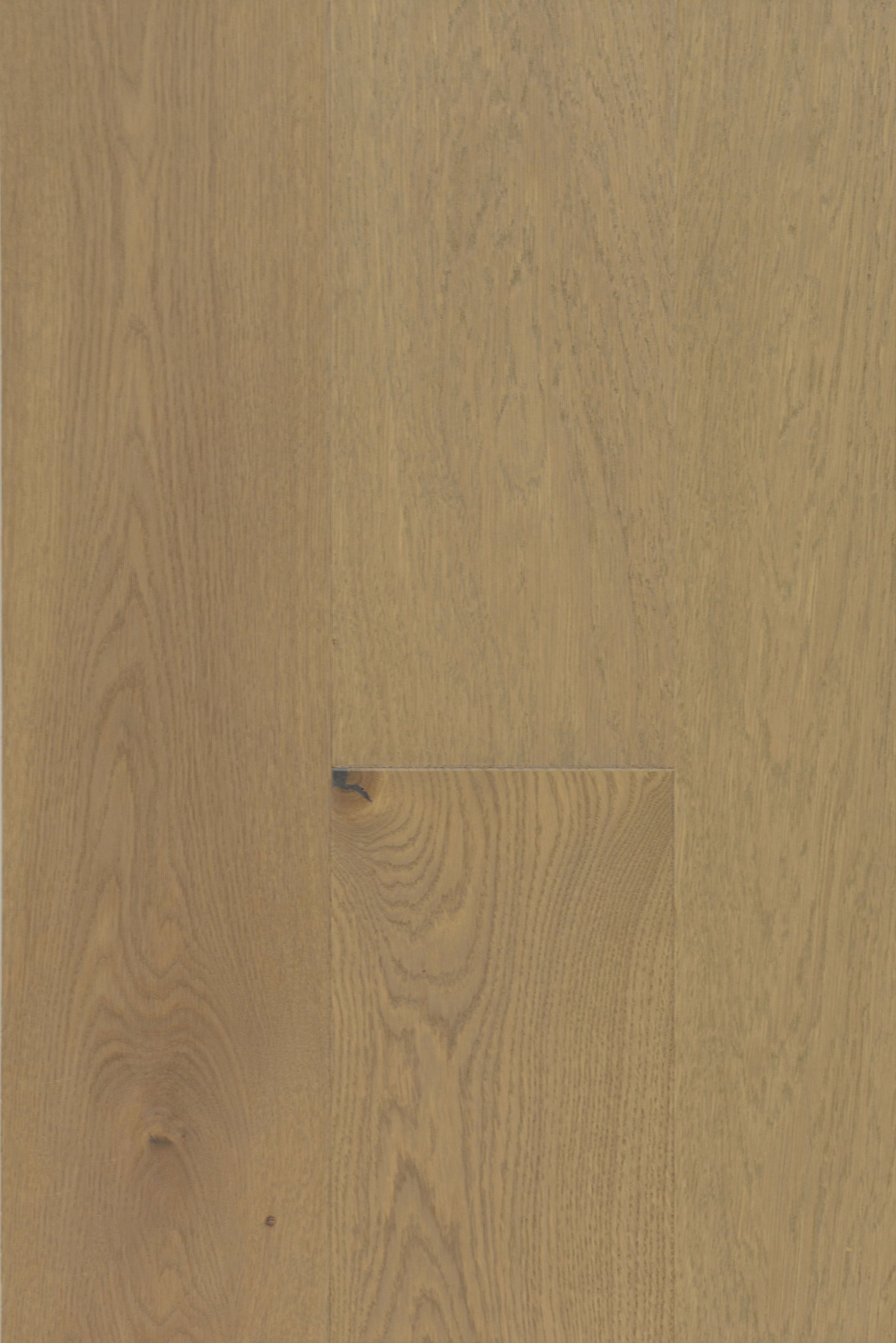 Cool Sage Engineered Hardwood | CIERO x FUZION