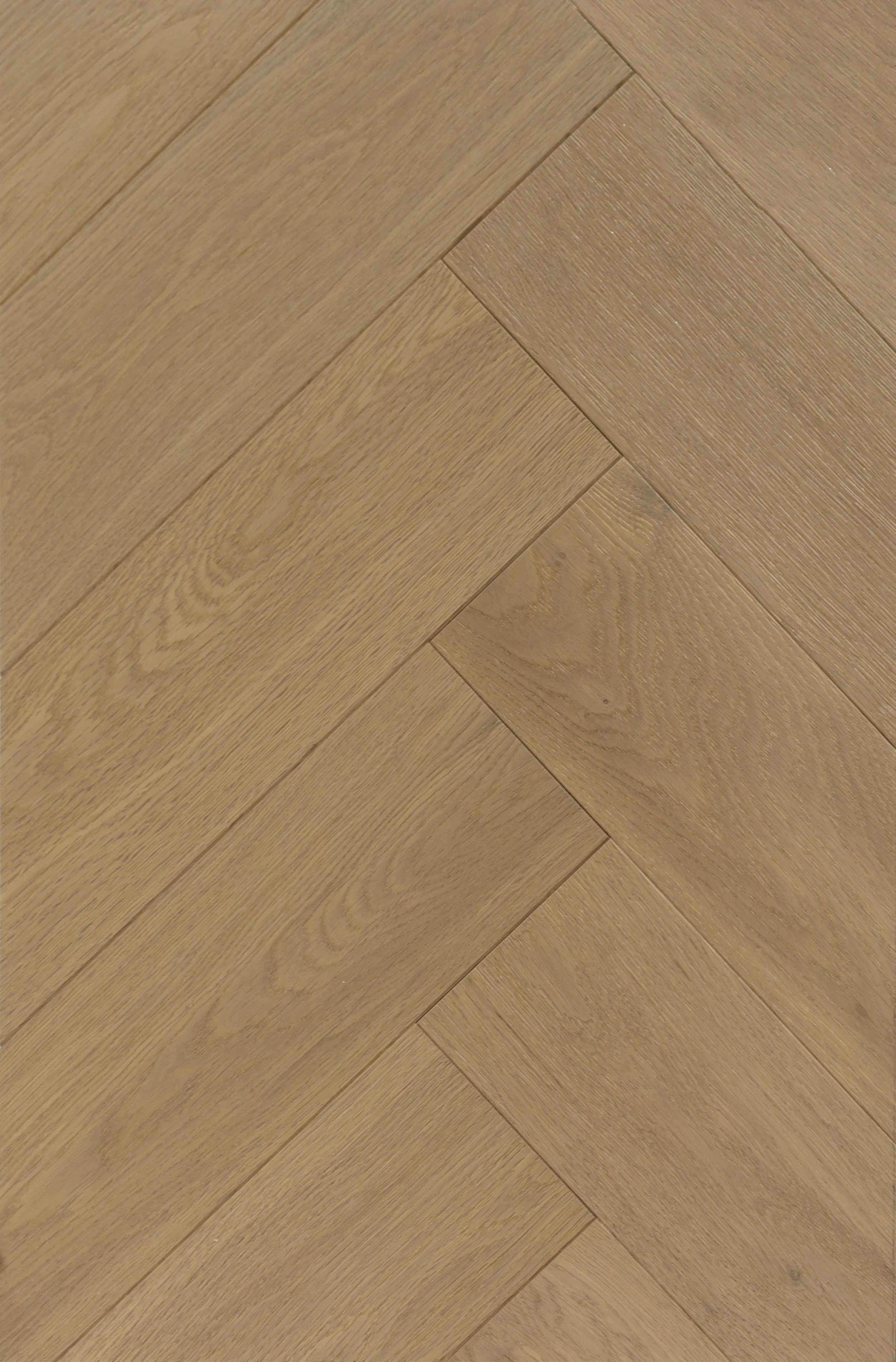 Silkwood Charm Engineered Hardwood | CIERO x FUZION
