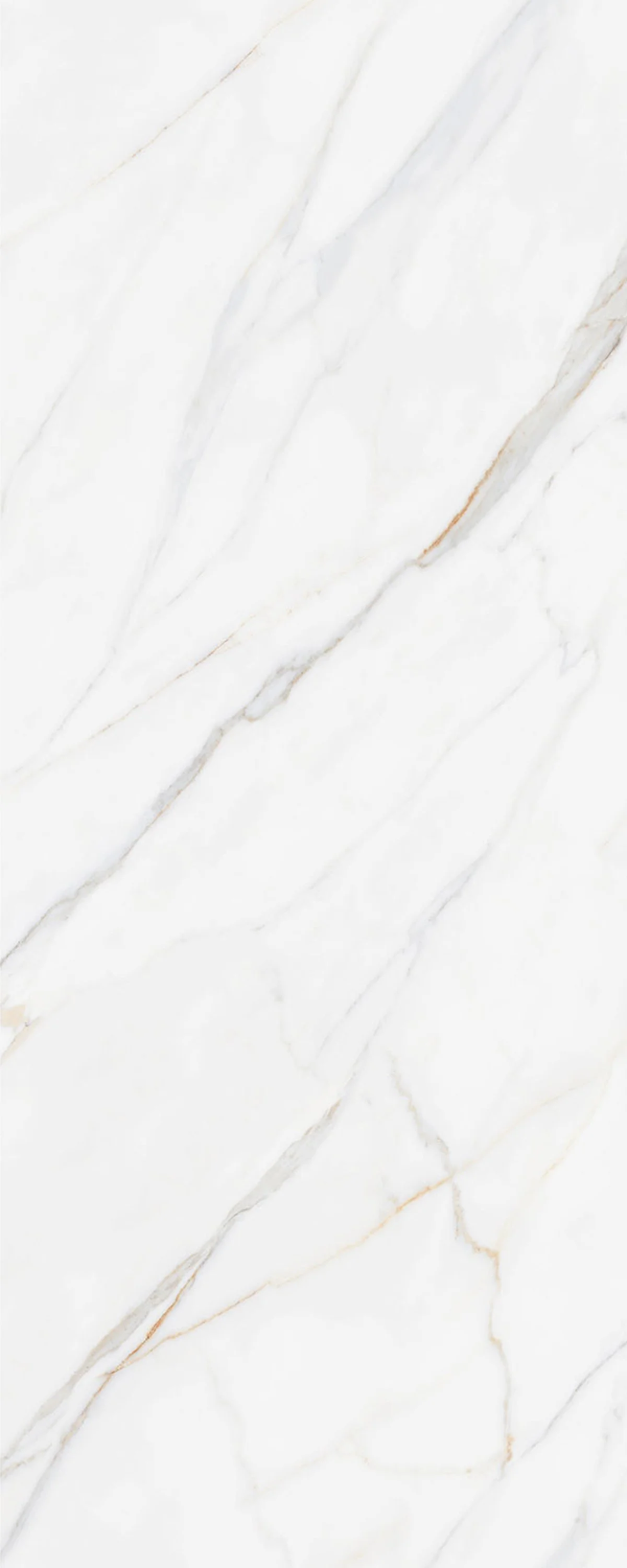 Karami White 4' x 10' Porcelain Slab | CIERO