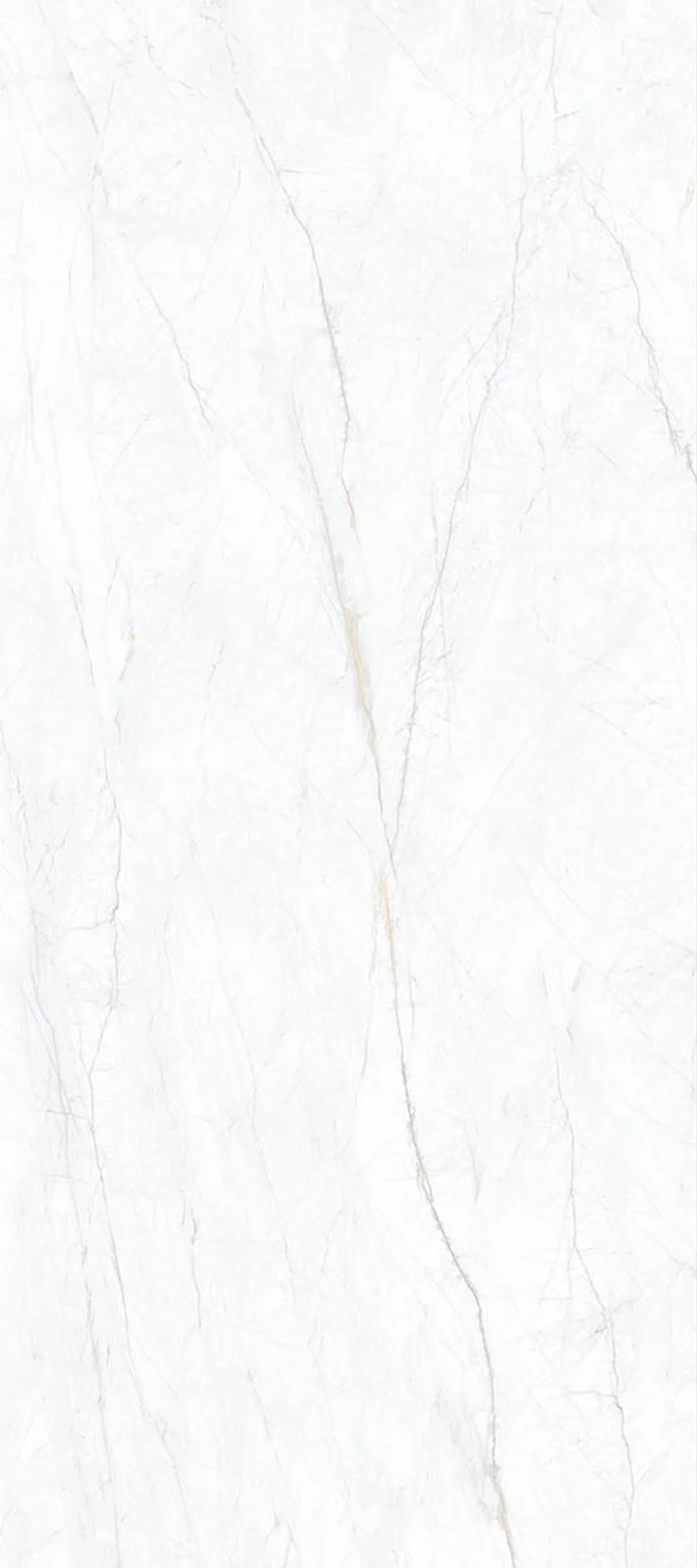 Statuario Pearl 4' x 9' Porcelain Slab | CIERO