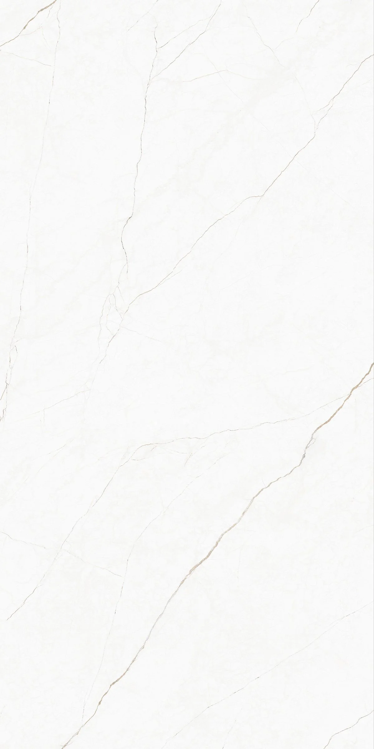 Hurricaine Beige 4' x 8' Porcelain Slab | CIERO