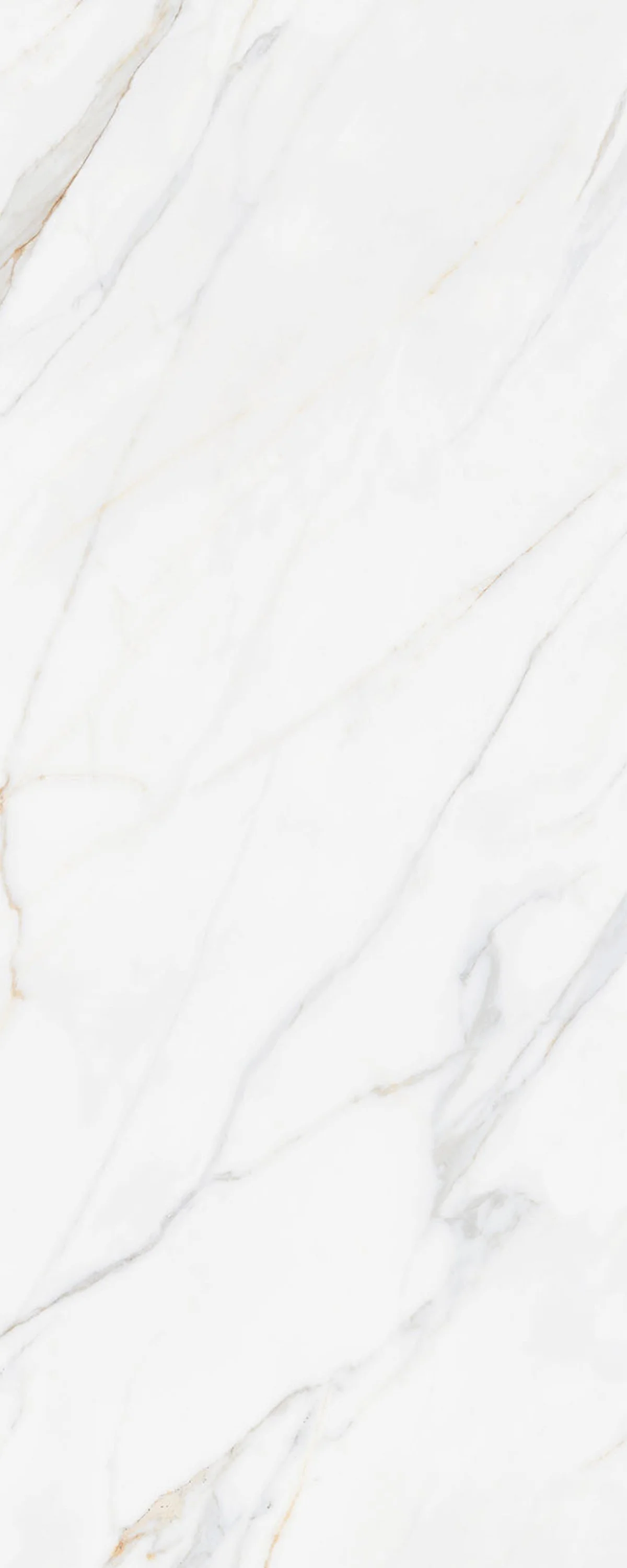 Karami White 4' x 10' Porcelain Slab | CIERO