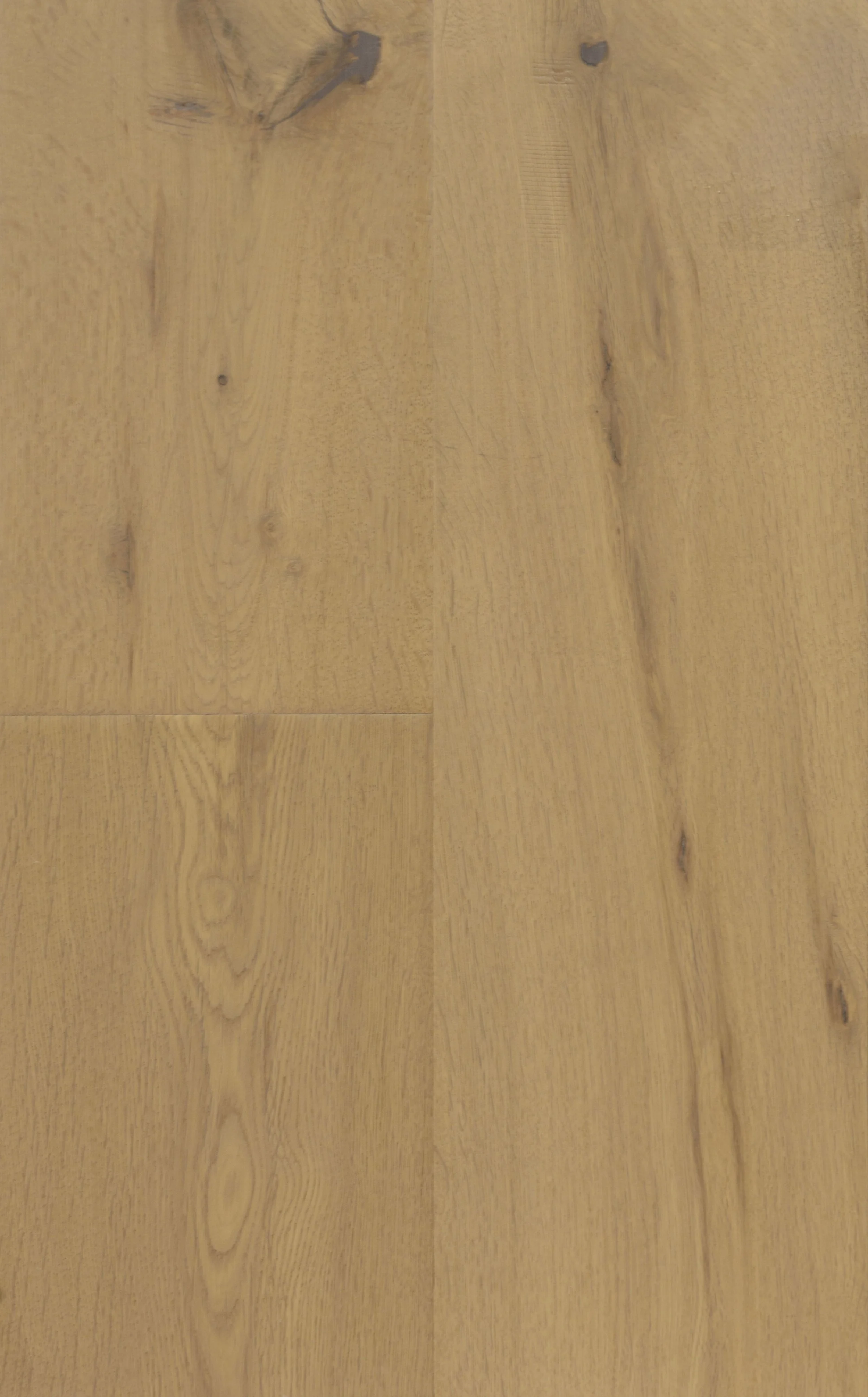 Venice Engineered Hardwood | CIERO x FUZION