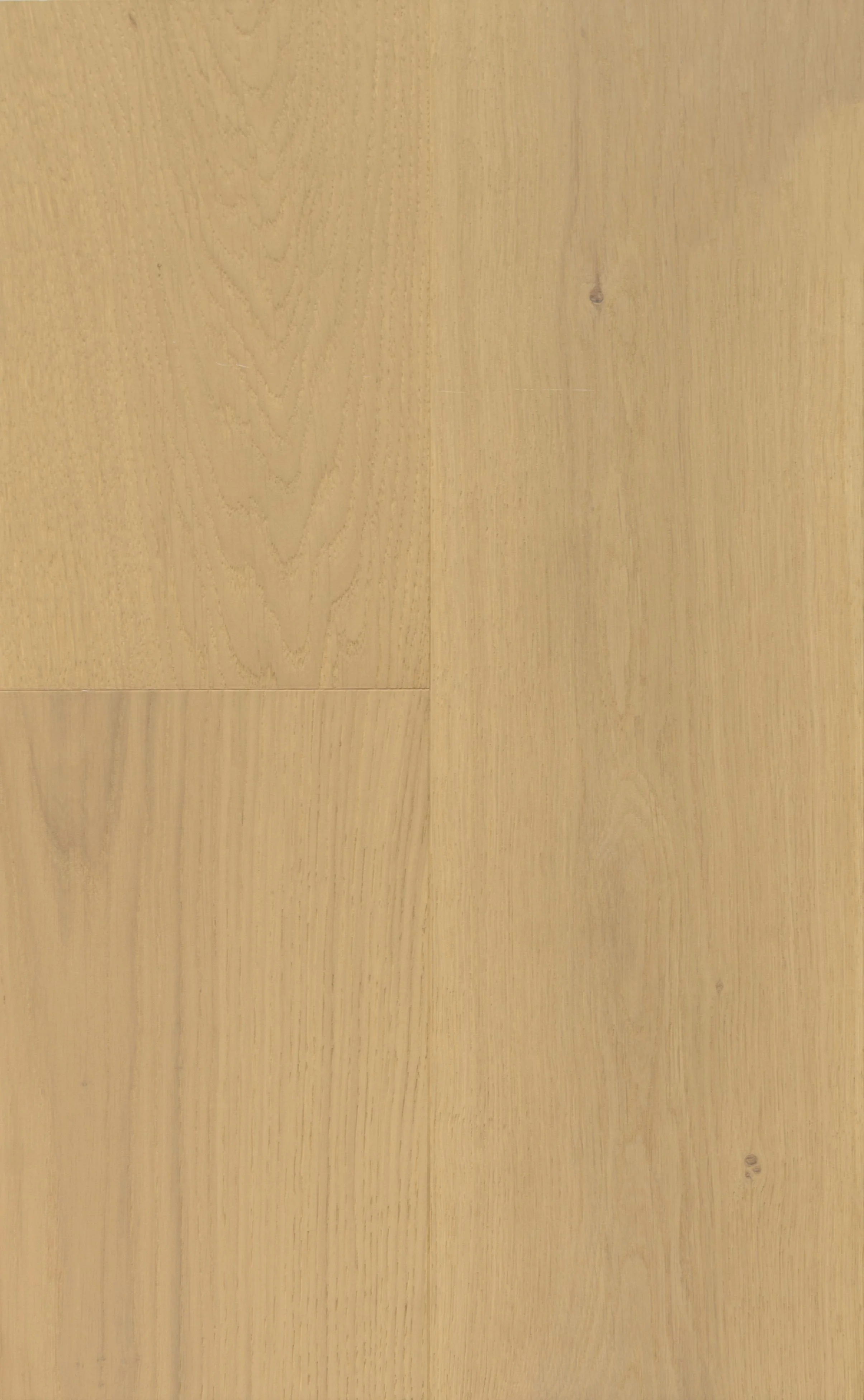 Saint Malo Engineered Hardwood | CIERO x PURELUX