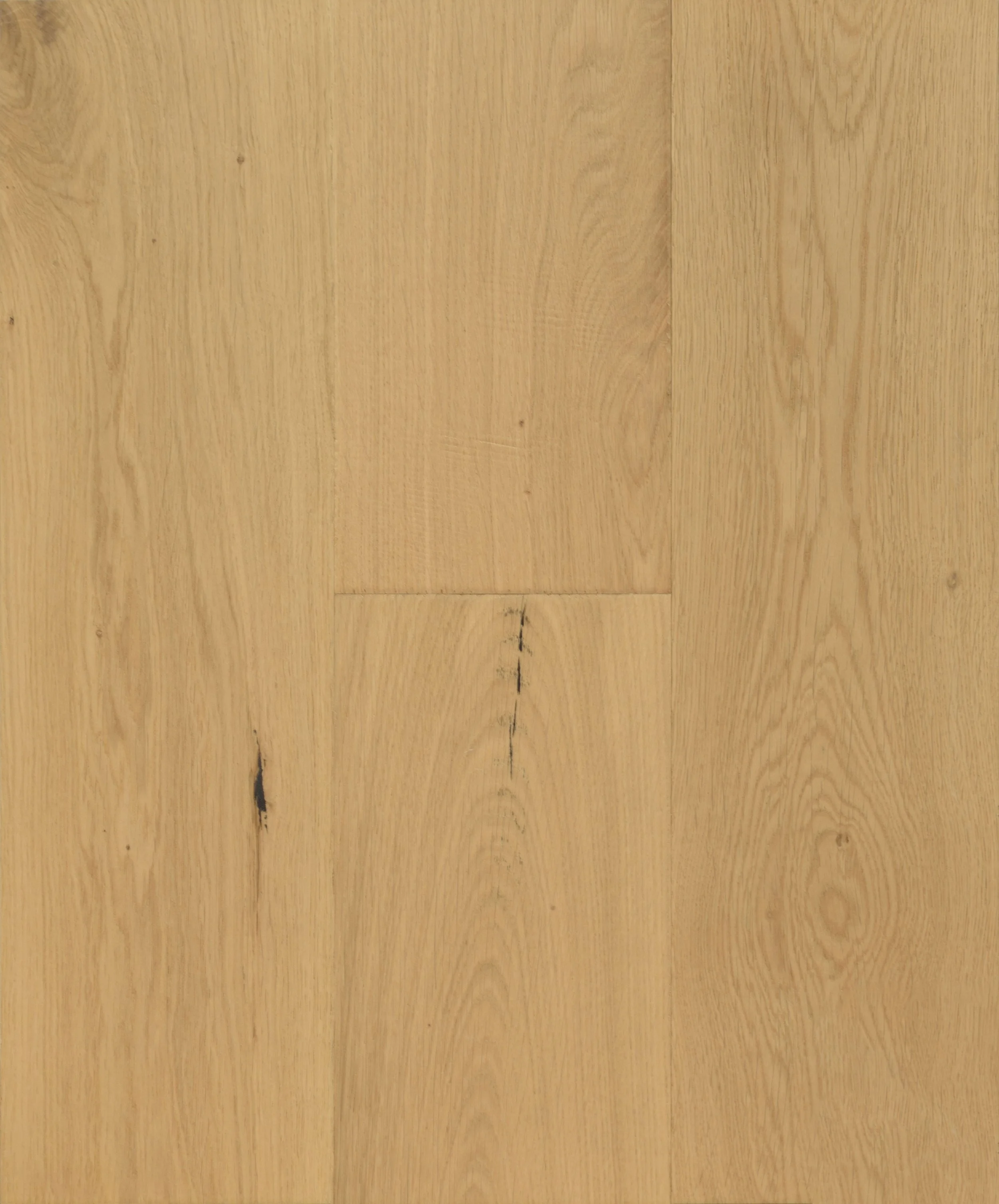 Arlington Engineered Hardwood | CIERO x CANADIAN STANDARD
