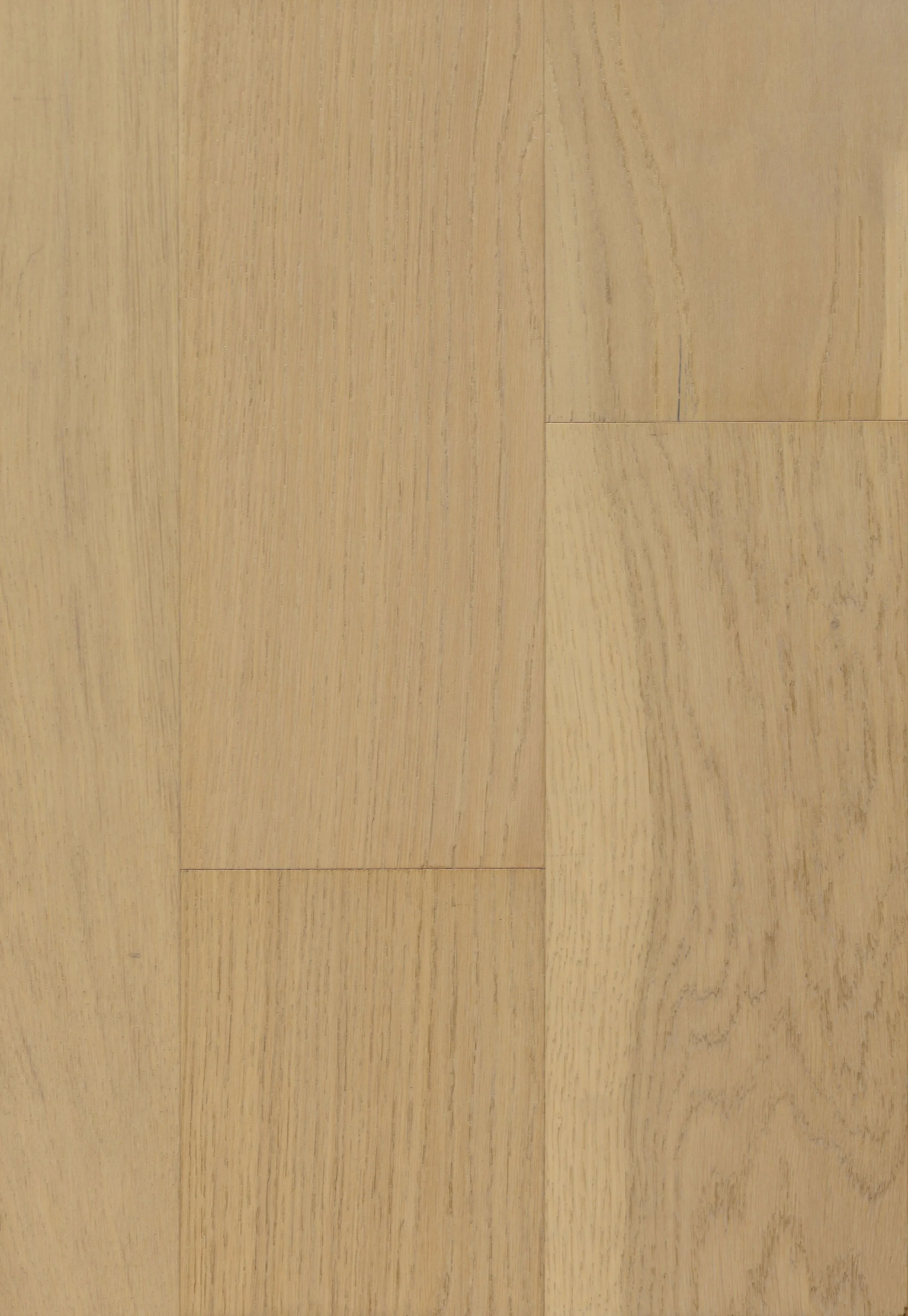 Reflections Engineered Hardwood | CIERO x FUZION
