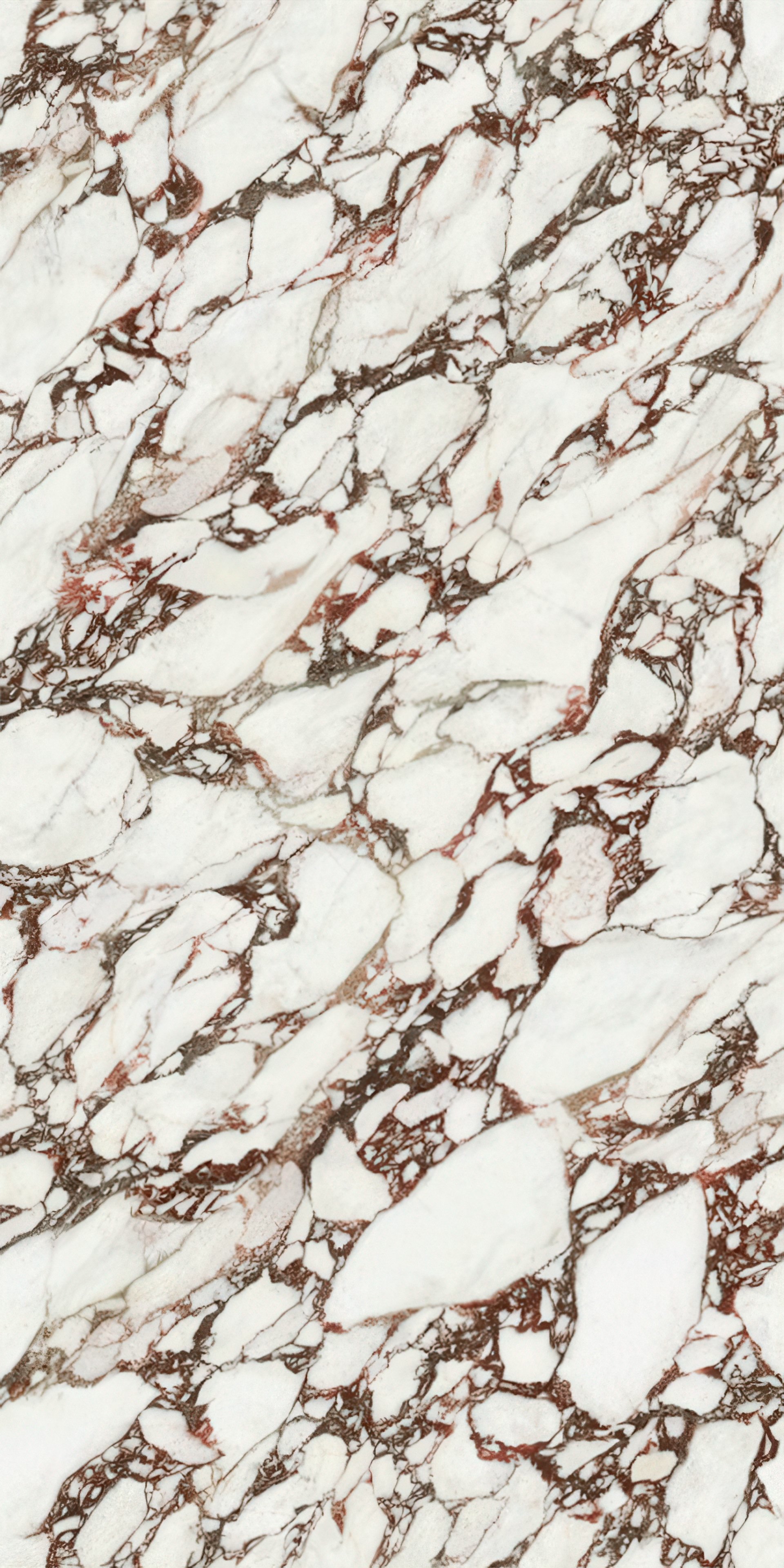 Calacatta Viola 5' x 10' Porcelain Slab | CIERO