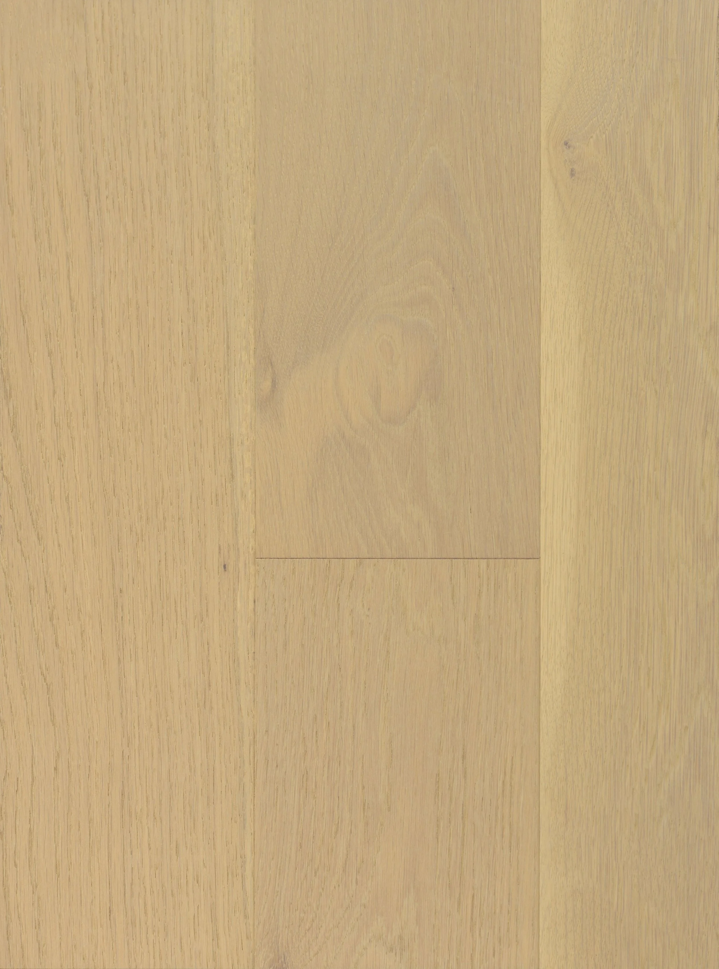 Aruba Sand Engineered Hardwood | CIERO x VIDAR