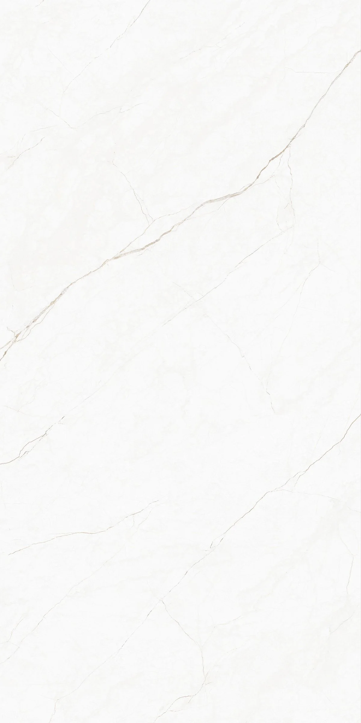 Hurricaine Beige 4' x 8' Porcelain Slab | CIERO