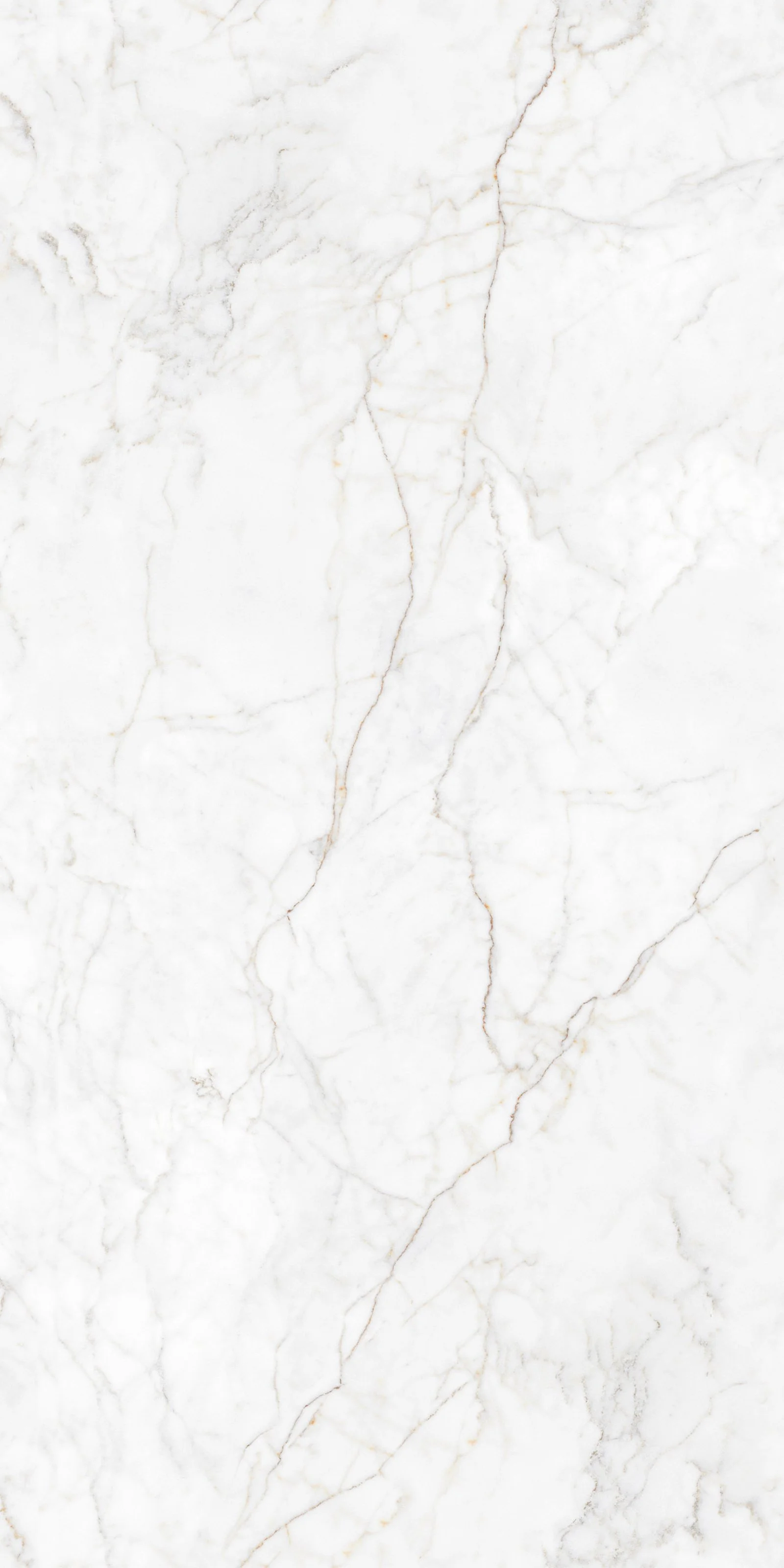 Zeus White 5' x 10' Porcelain Slab | CIERO