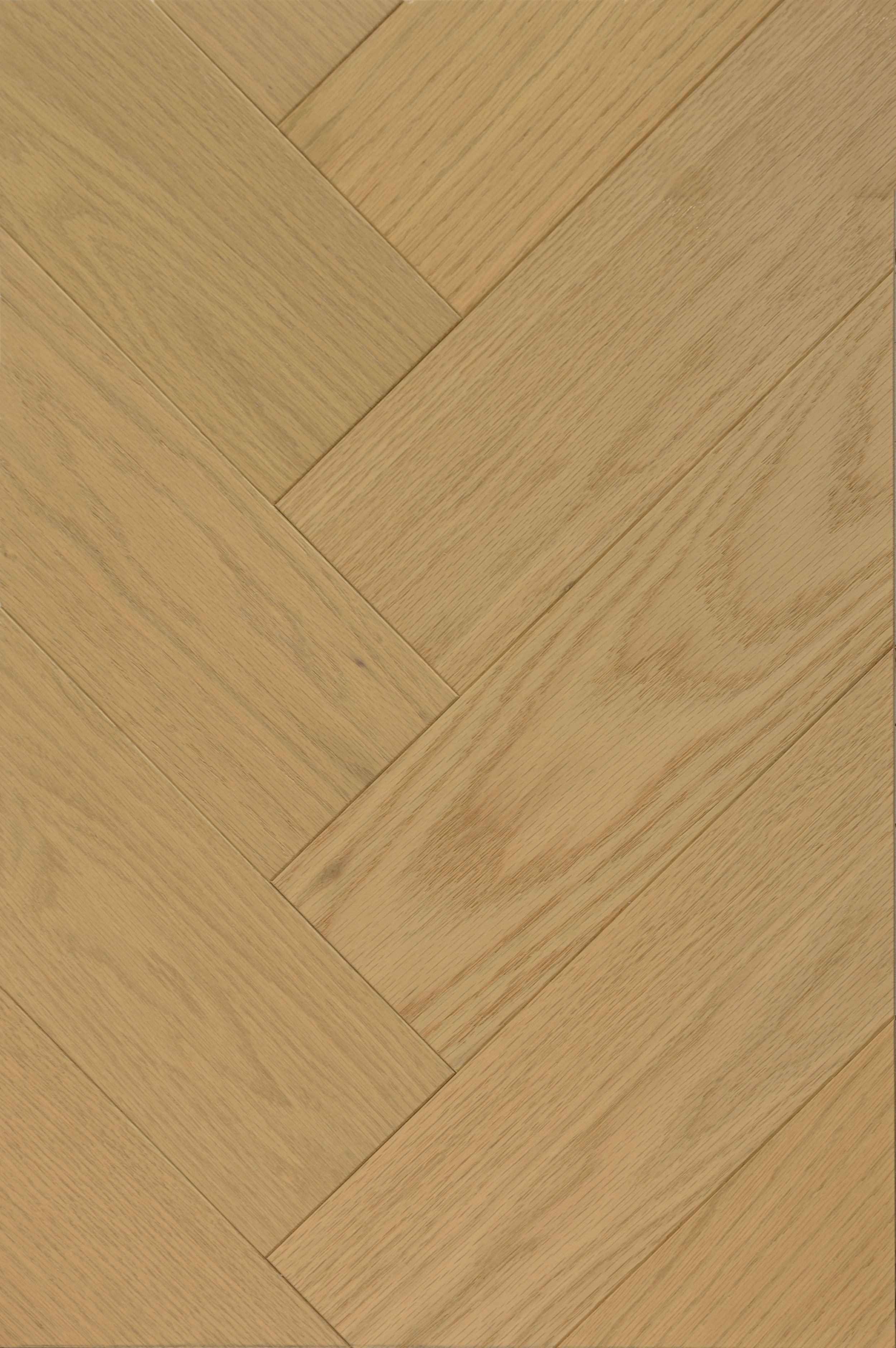Radiant Ridge Engineered Hardwood | CIERO x FUZION
