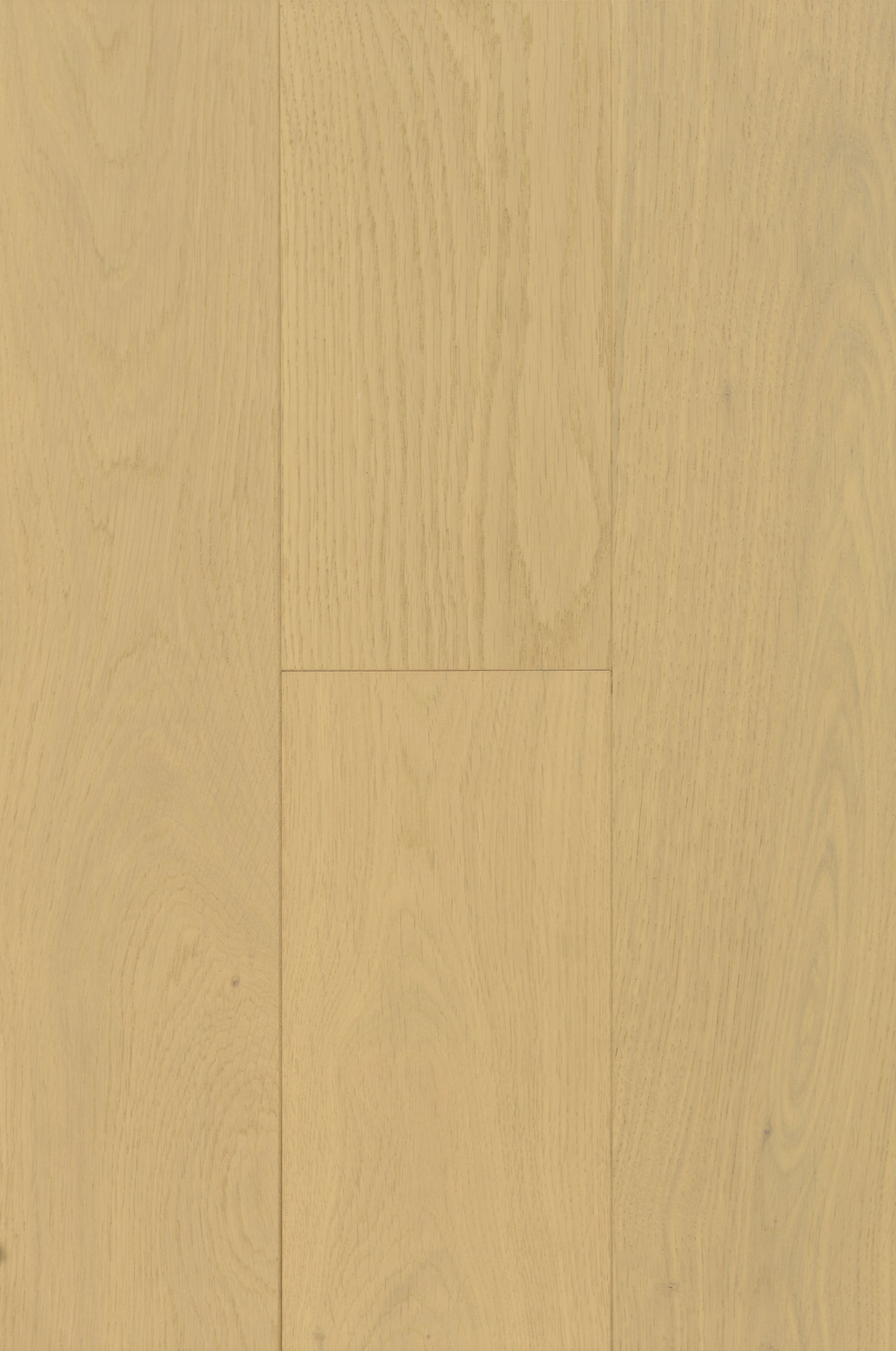 Gimli Engineered Hardwood | CIERO x PURELUX