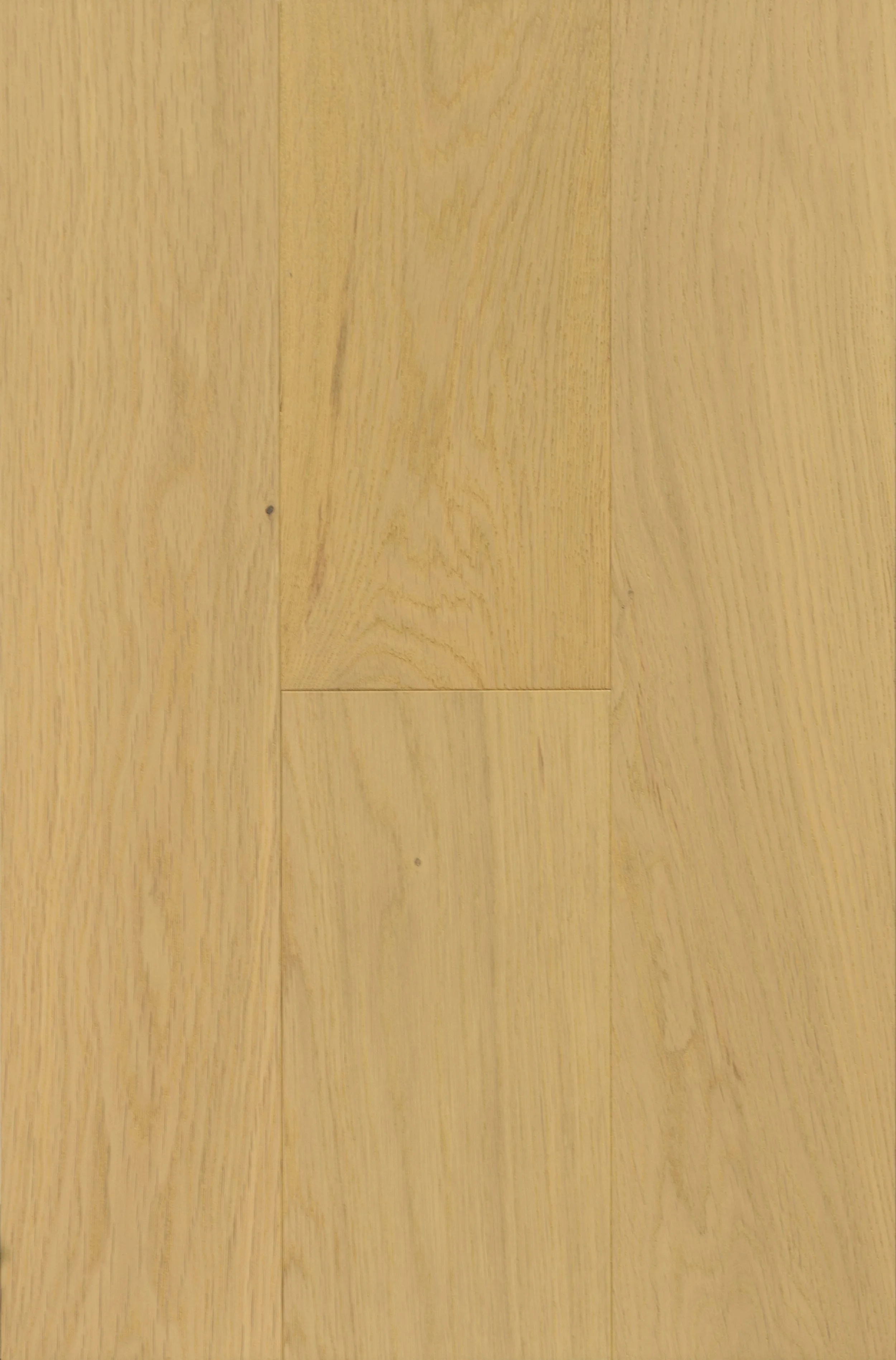 Egerton Engineered Hardwood | CIERO x PURELUX