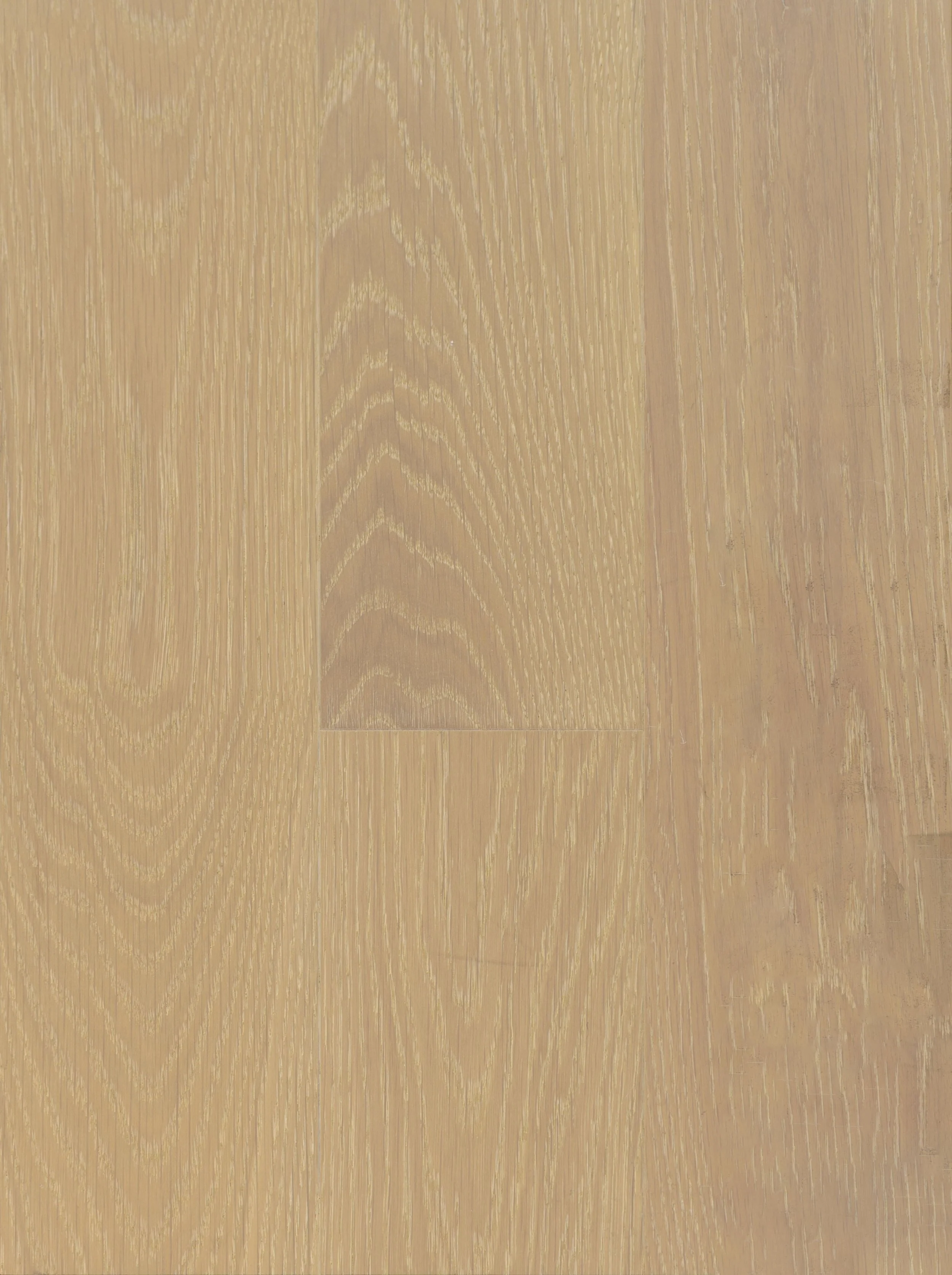 Paris Mist Engineered Hardwood | CIERO x VIDAR