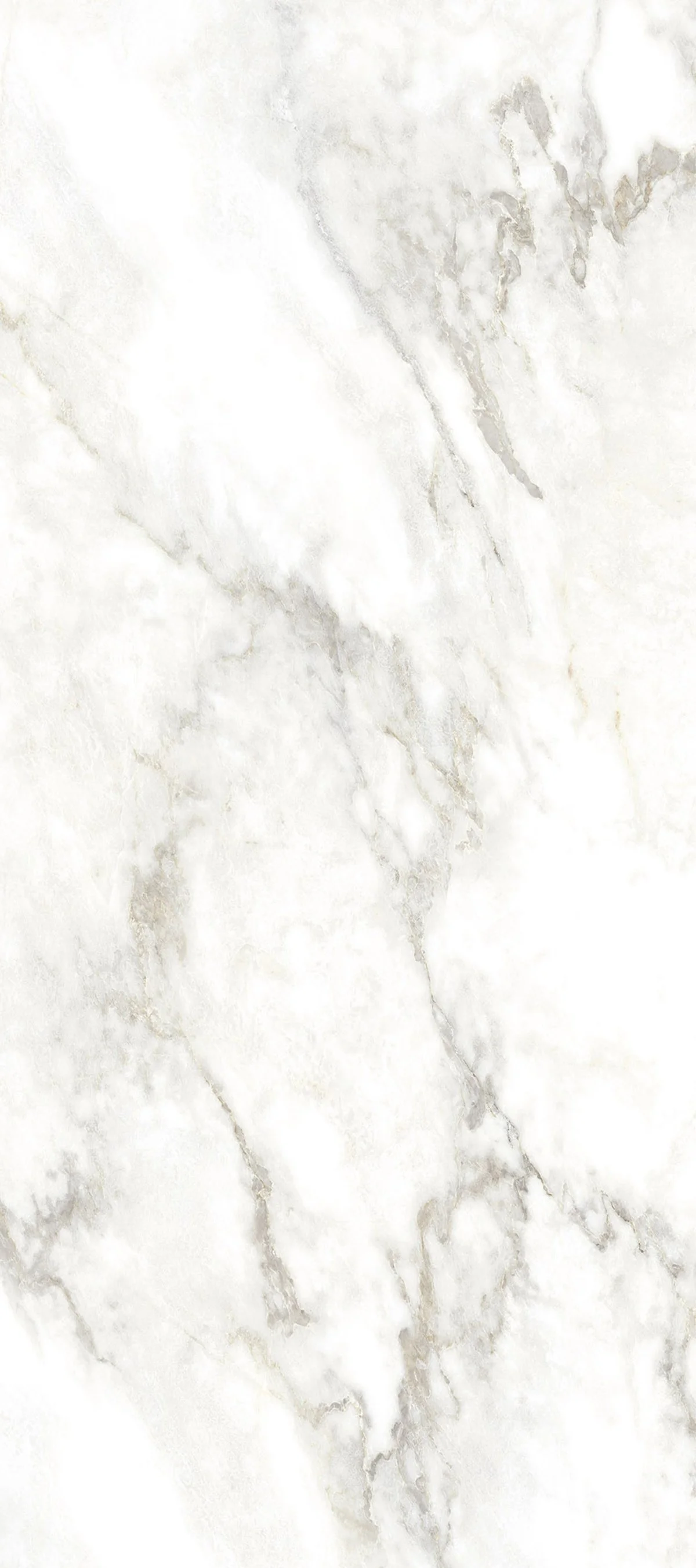 Vienna White 4' x 9' Porcelain Slab | CIERO