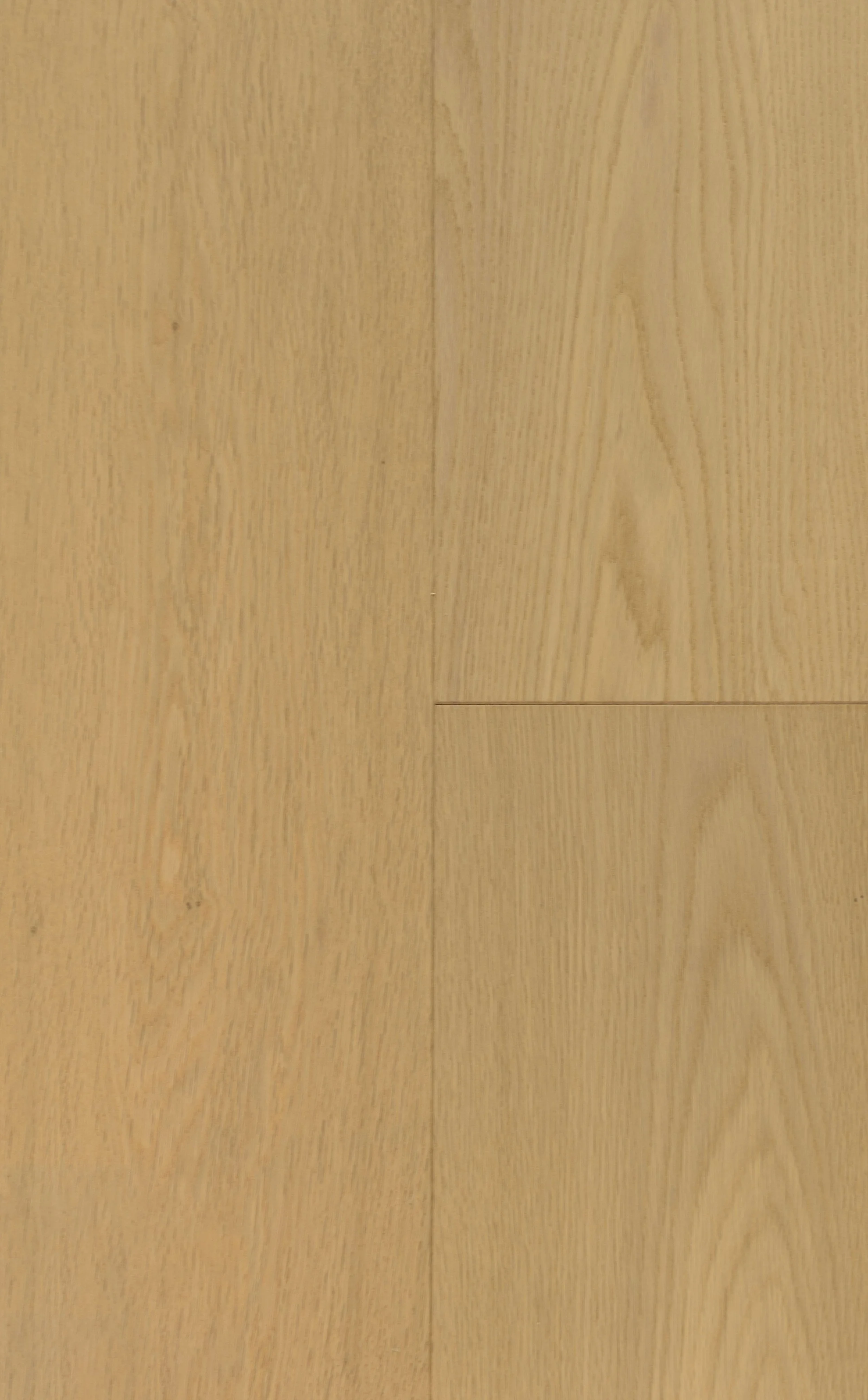 Mural Engineered Hardwood | CIERO x FUZION