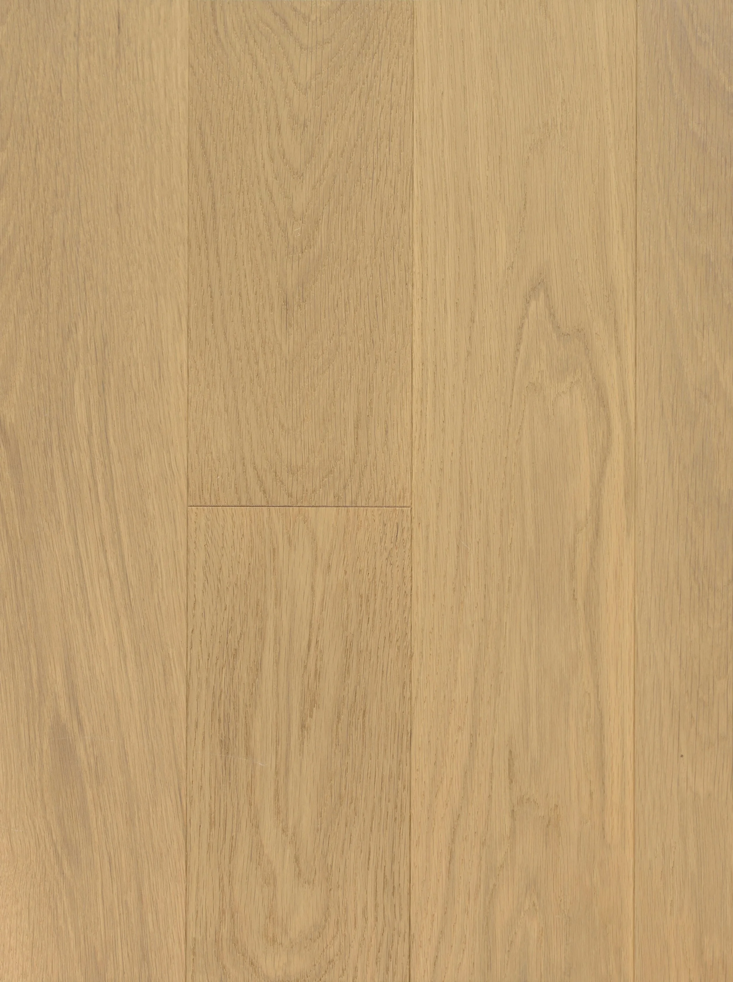 Biscotti Engineered Hardwood | CIERO x VIDAR