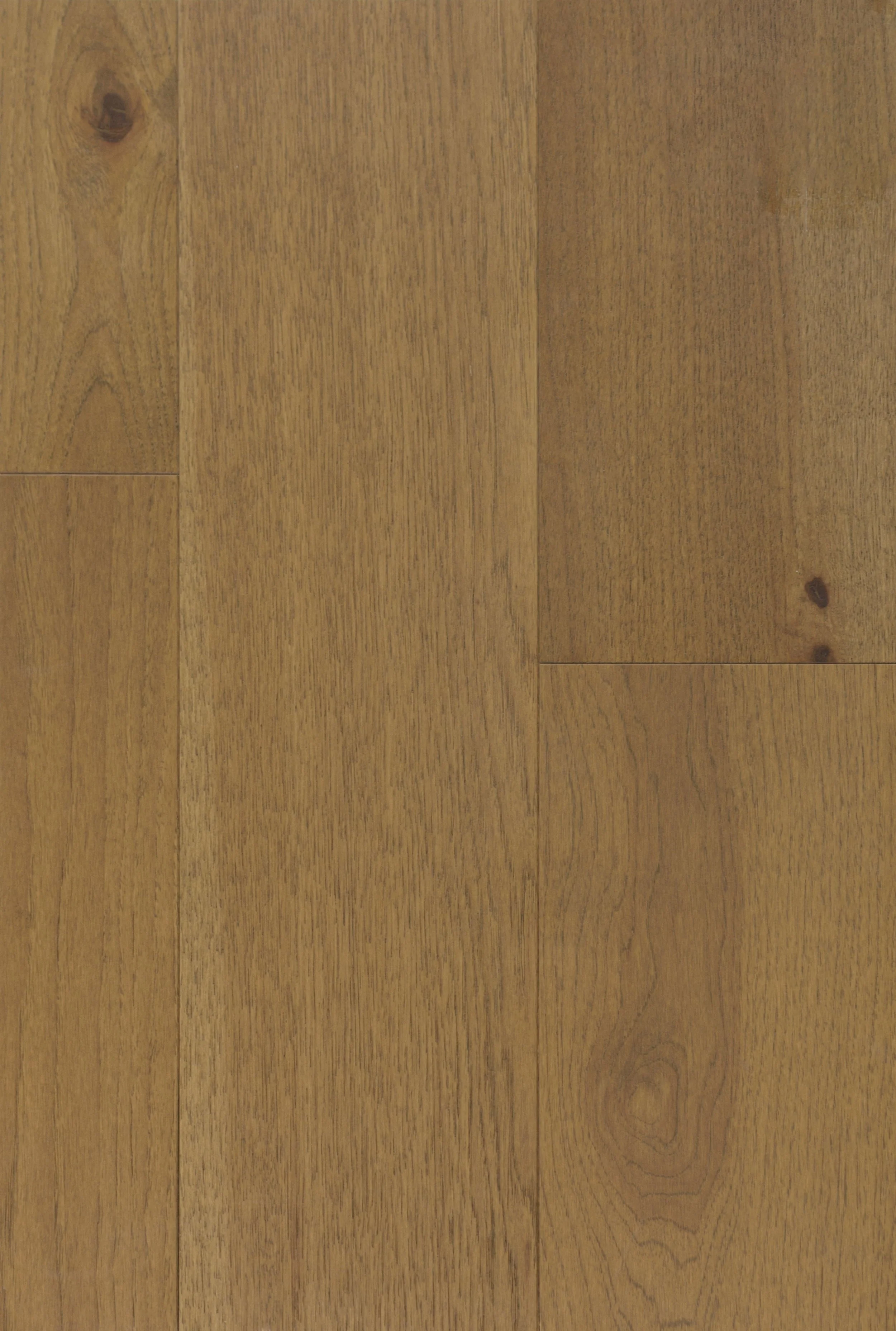Boulder Mountain Engineered Hardwood | CIERO x FUZION