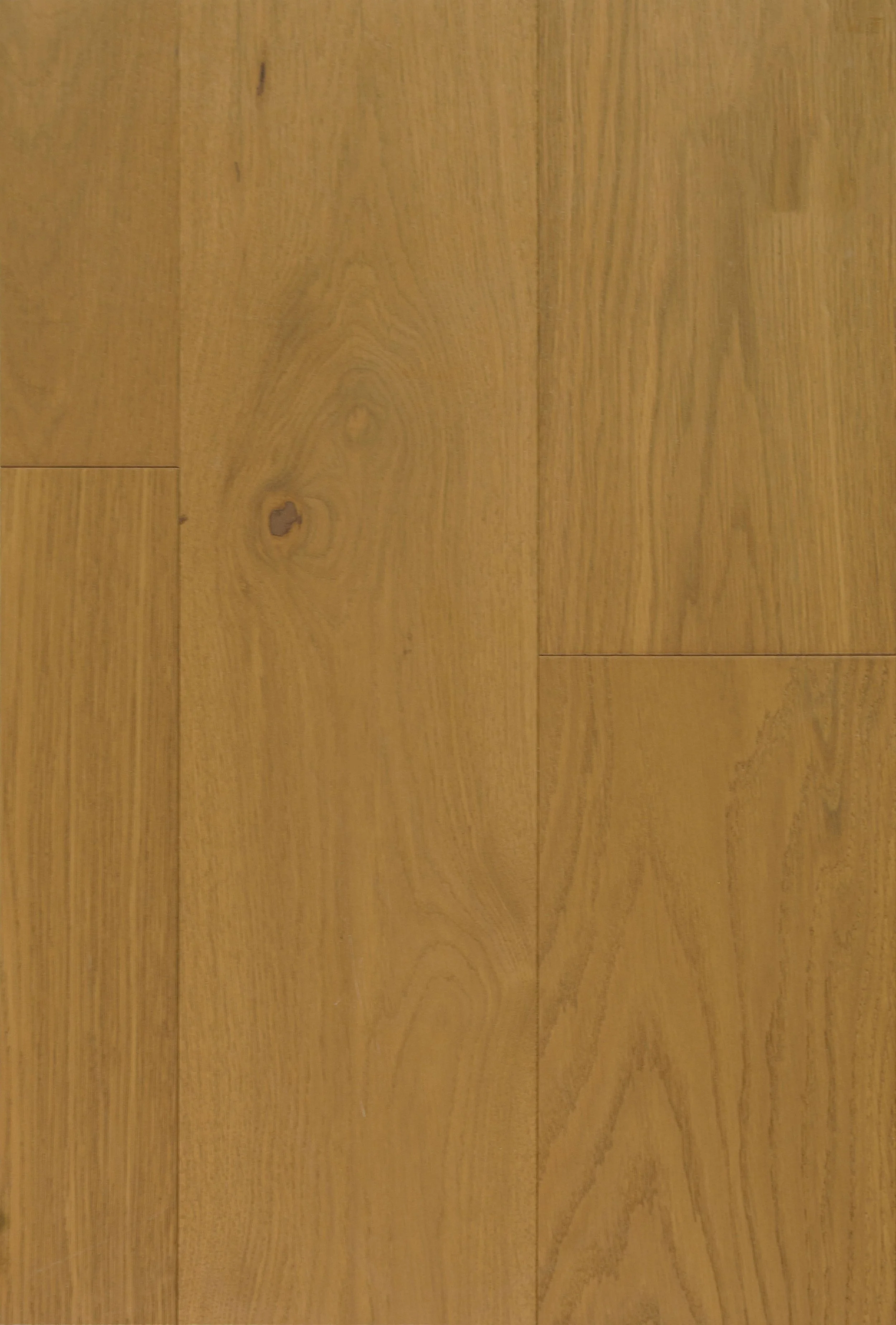 Gaston Engineered Hardwood | CIERO x FUZION