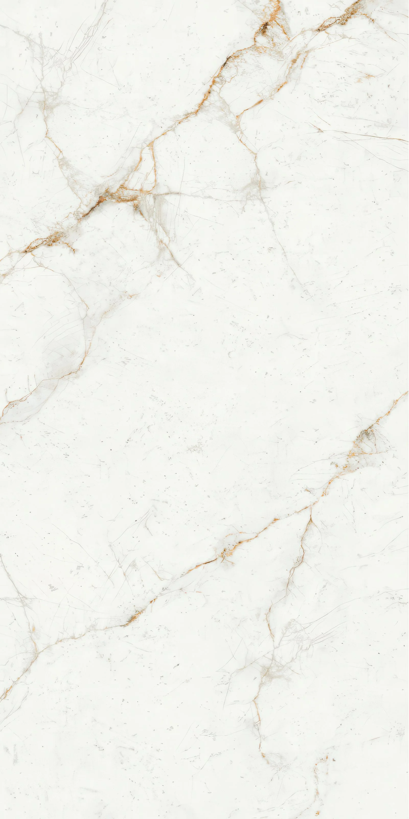 Carrara Gold LW 5' x 10' Porcelain Slab | CIERO
