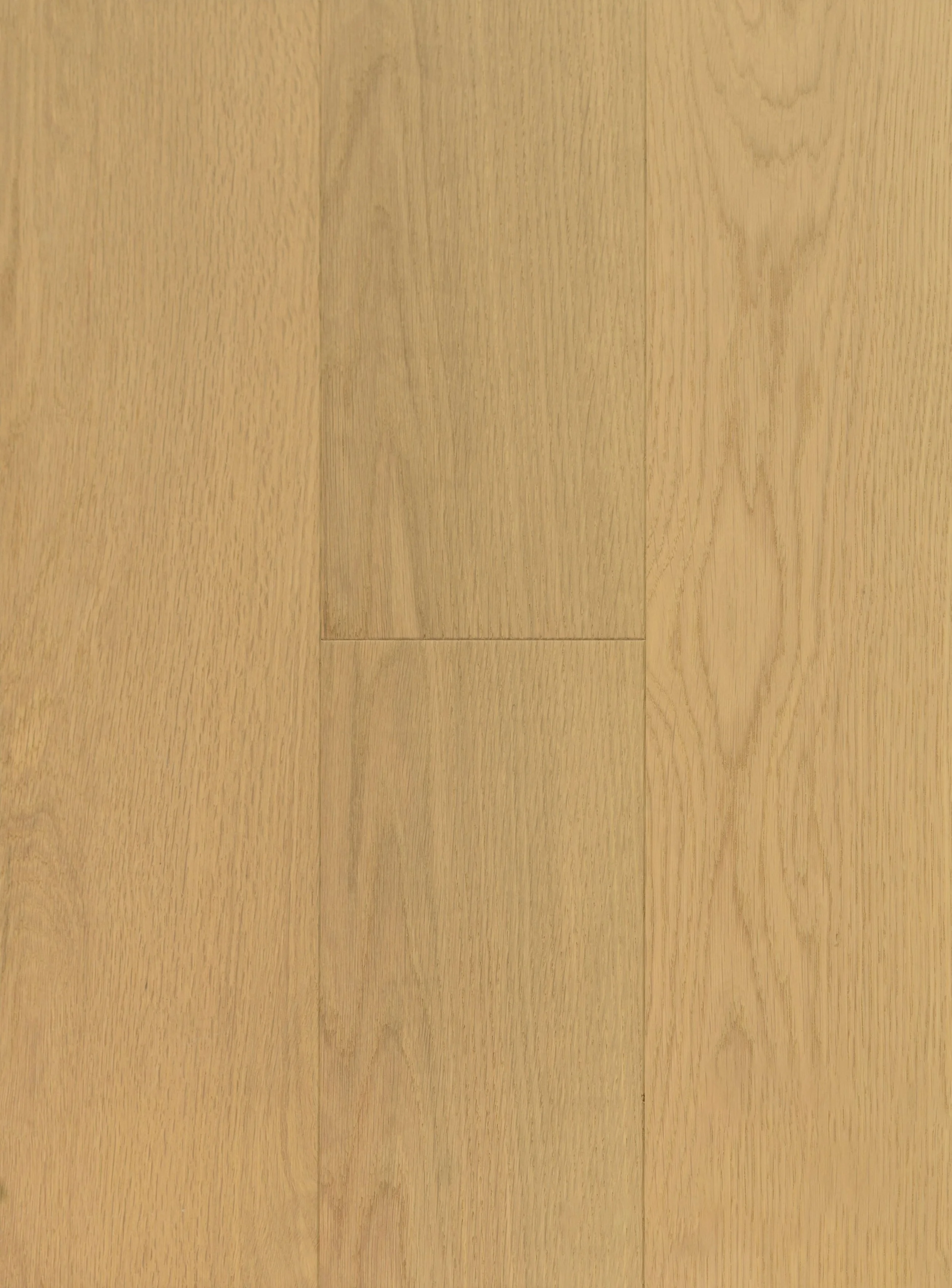 Honey Wheat Engineered Hardwood | CIERO x VIDAR